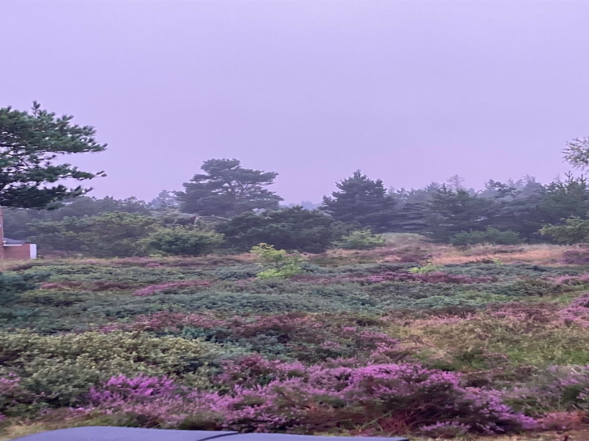 "Andriette" - 4.5km from the sea - Buiten