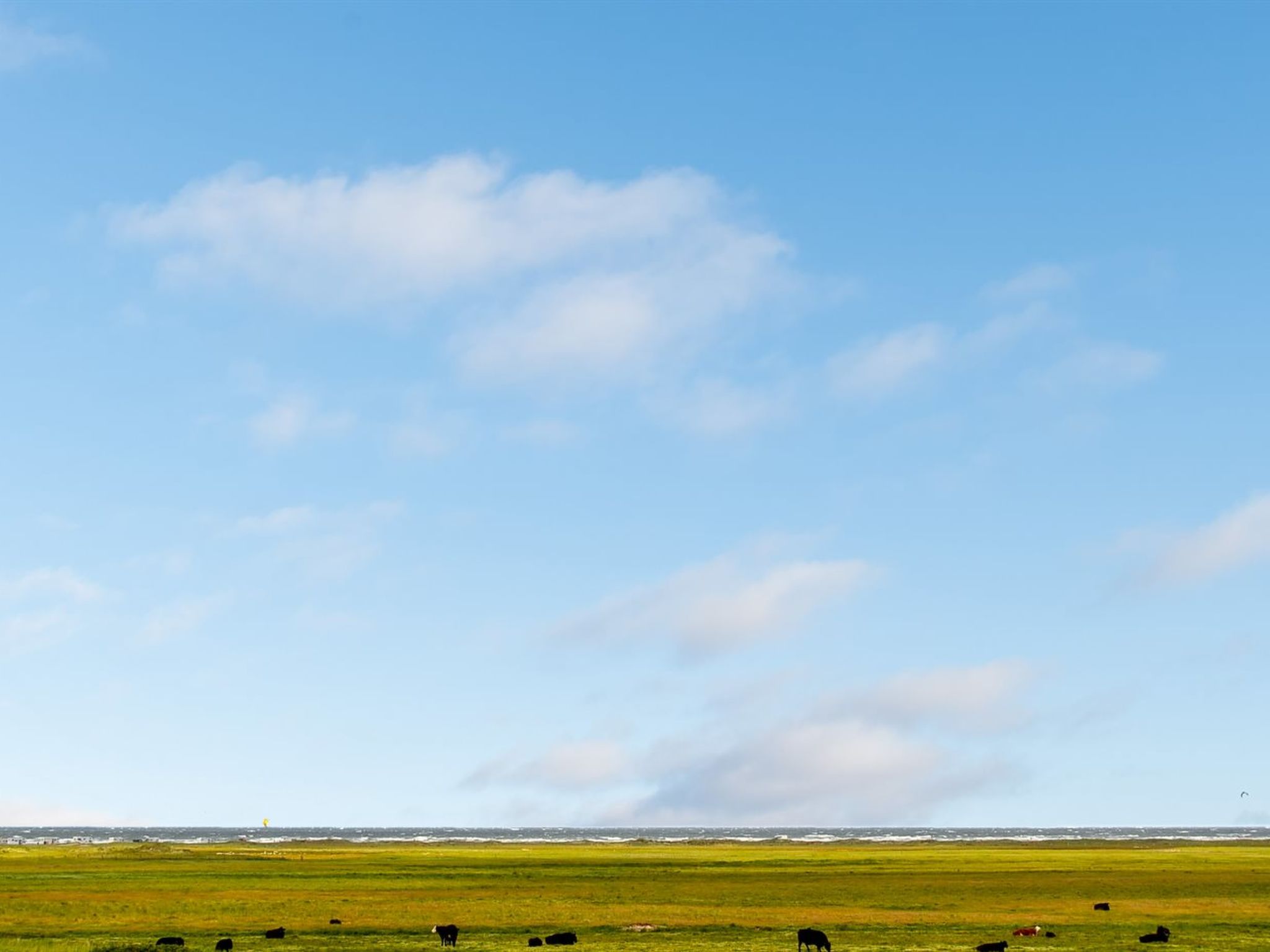 "Mortensen" - 350m from the sea - Buiten