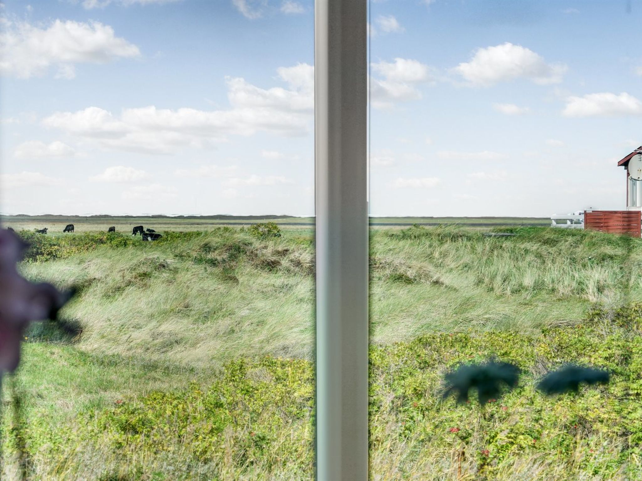 "Mortensen" - 350m from the sea - Buiten