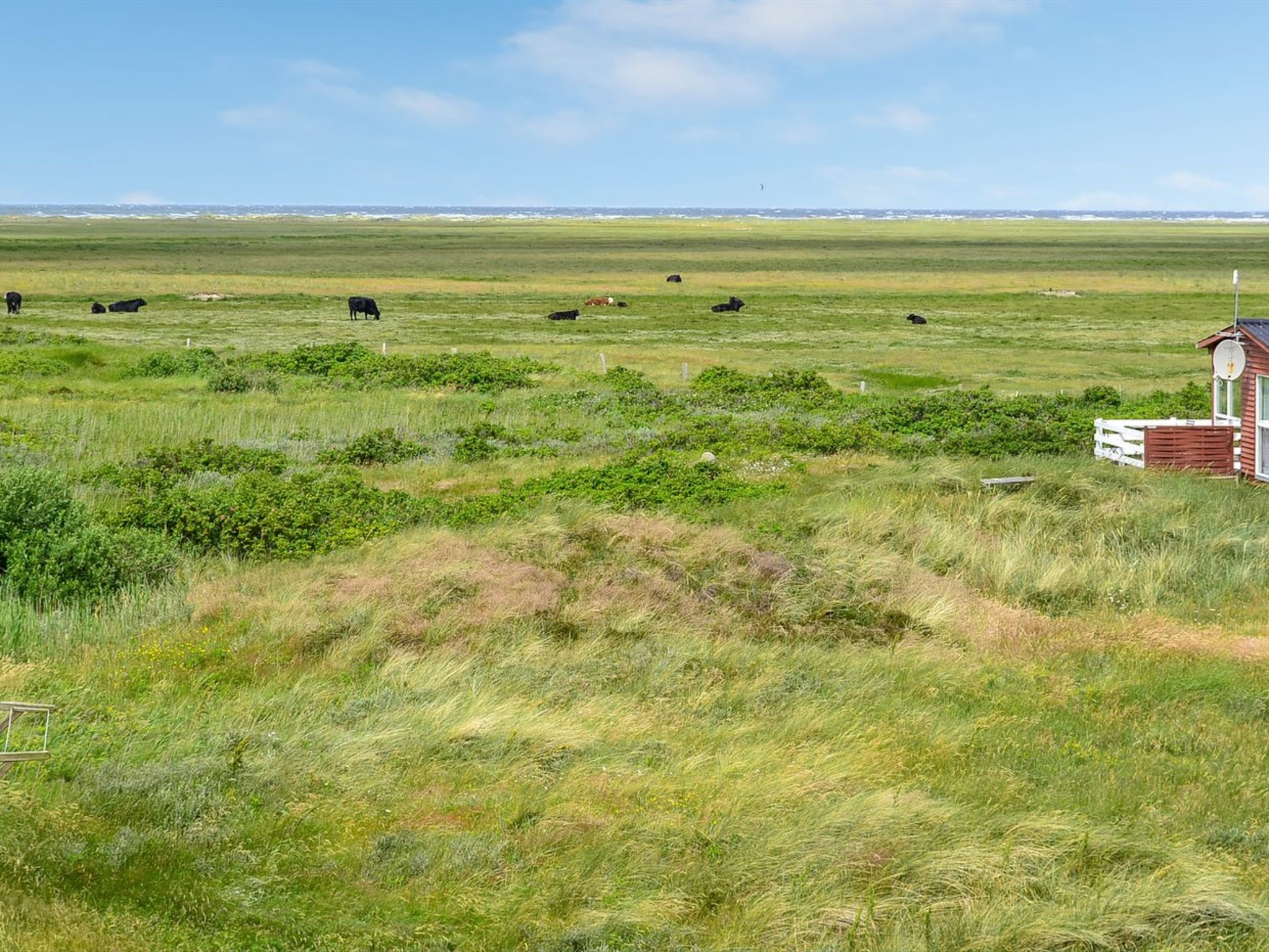 "Mortensen" - 350m from the sea - Buiten