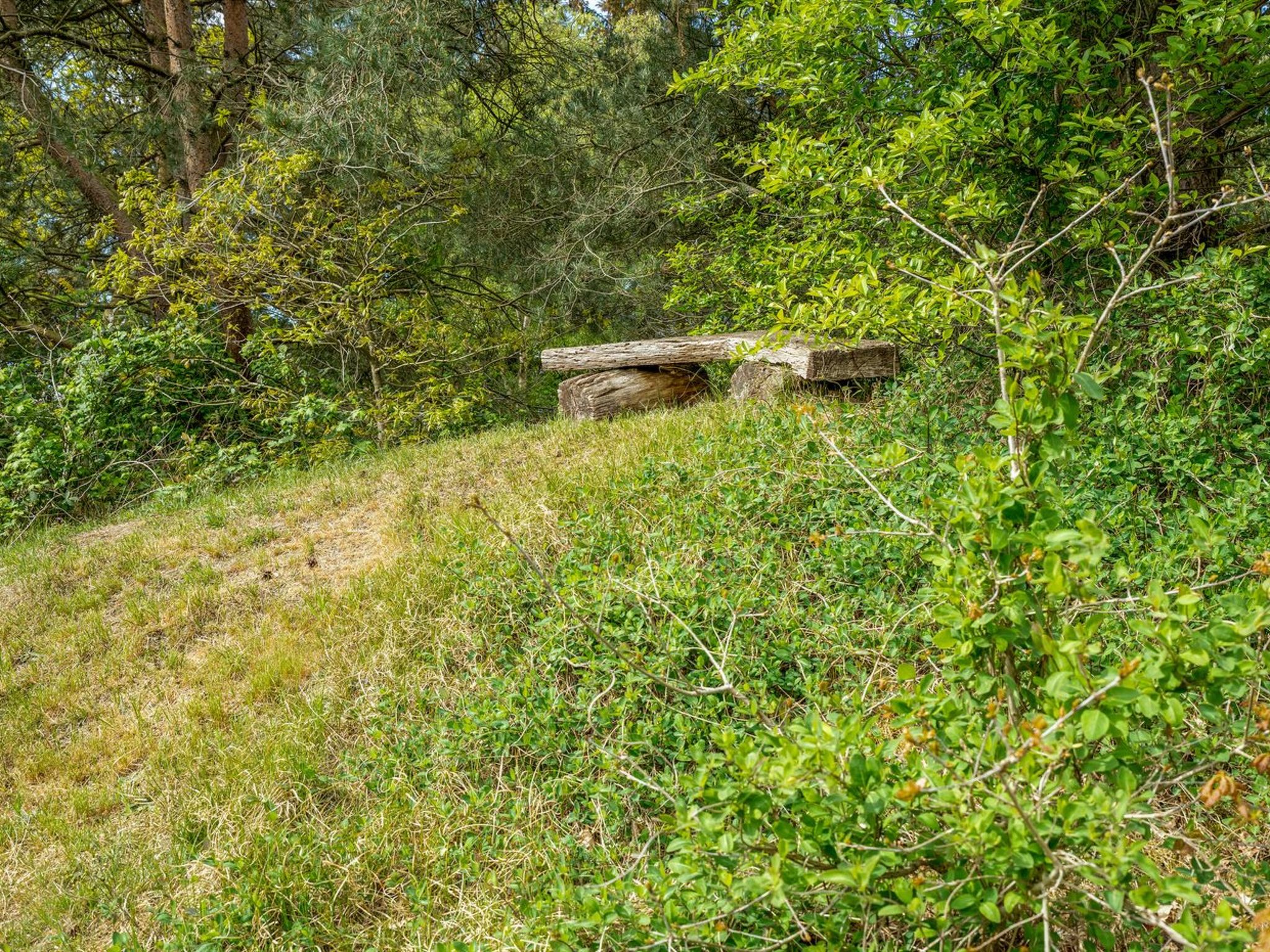 "Livni" - 3.8km from the sea - Buiten