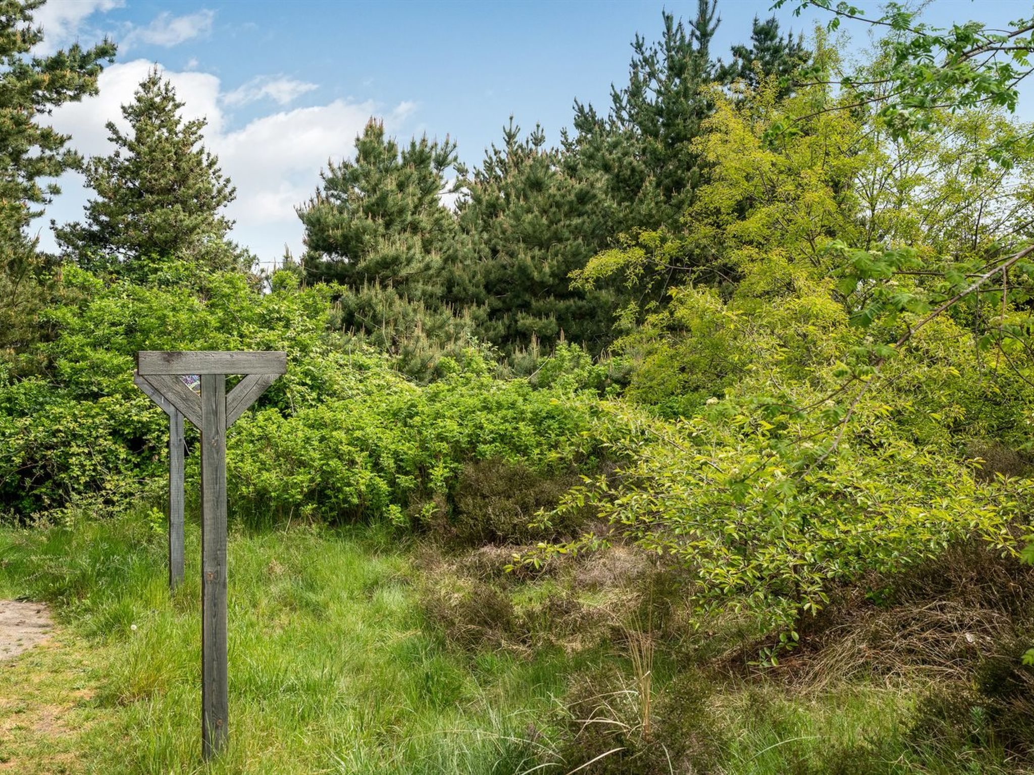 "Livni" - 3.8km from the sea - Buiten
