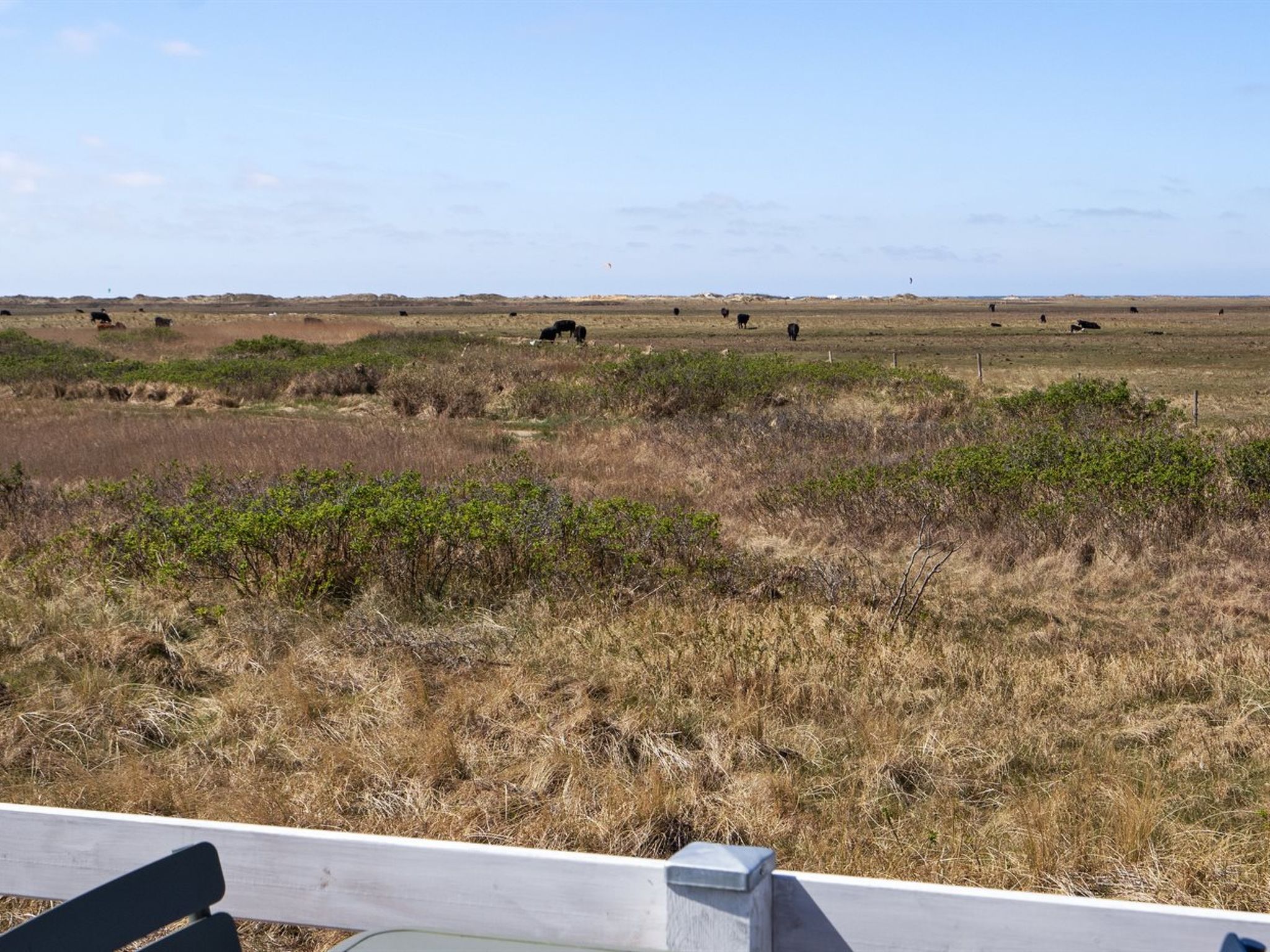 "Blomma" - 350m from the sea - Buiten