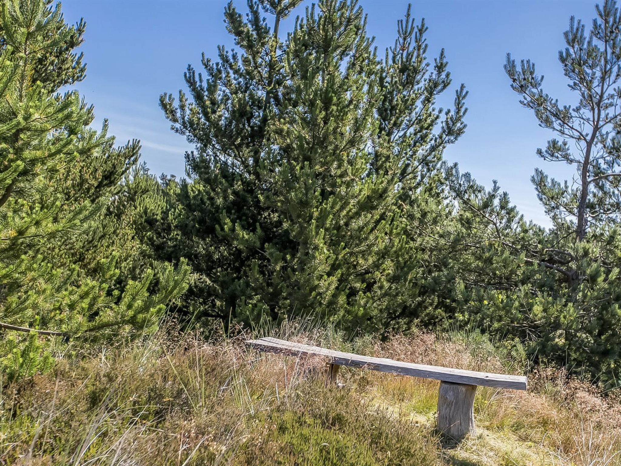 "Bruna" - 2km from the sea