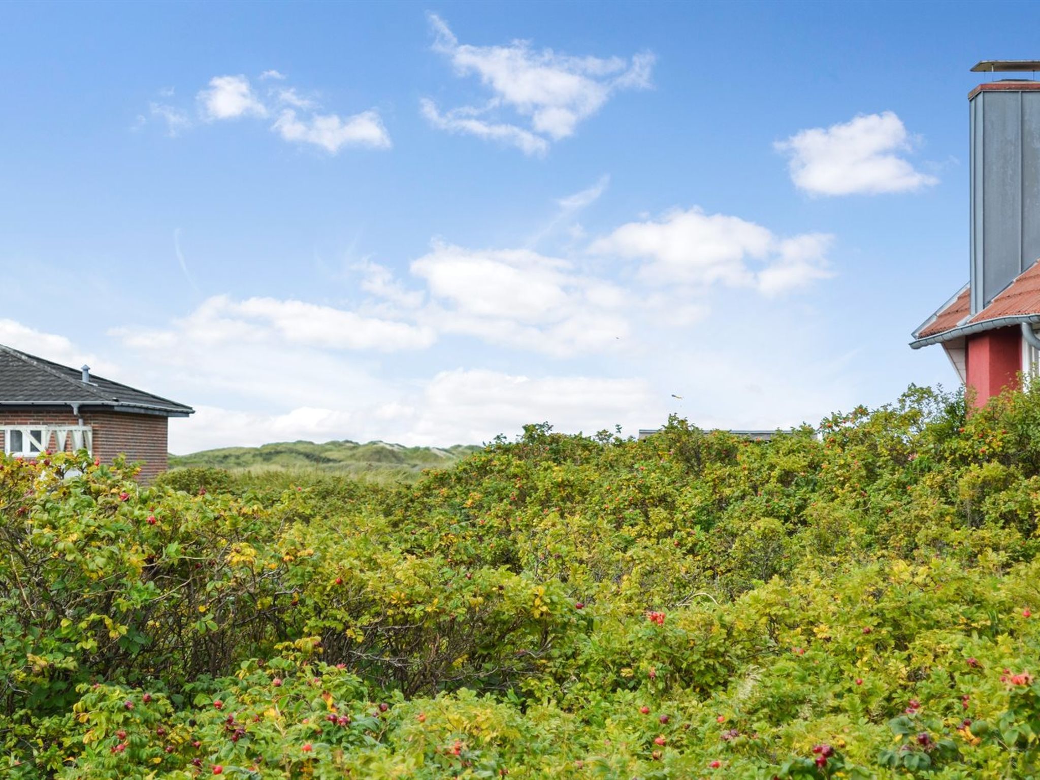 "Kalf" - 400m from the sea
