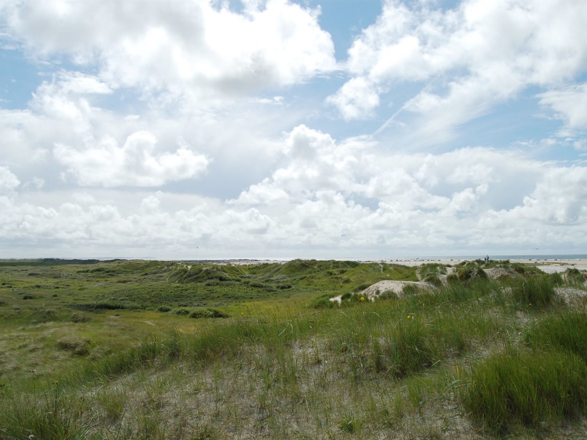 "Kalf" - 400m from the sea