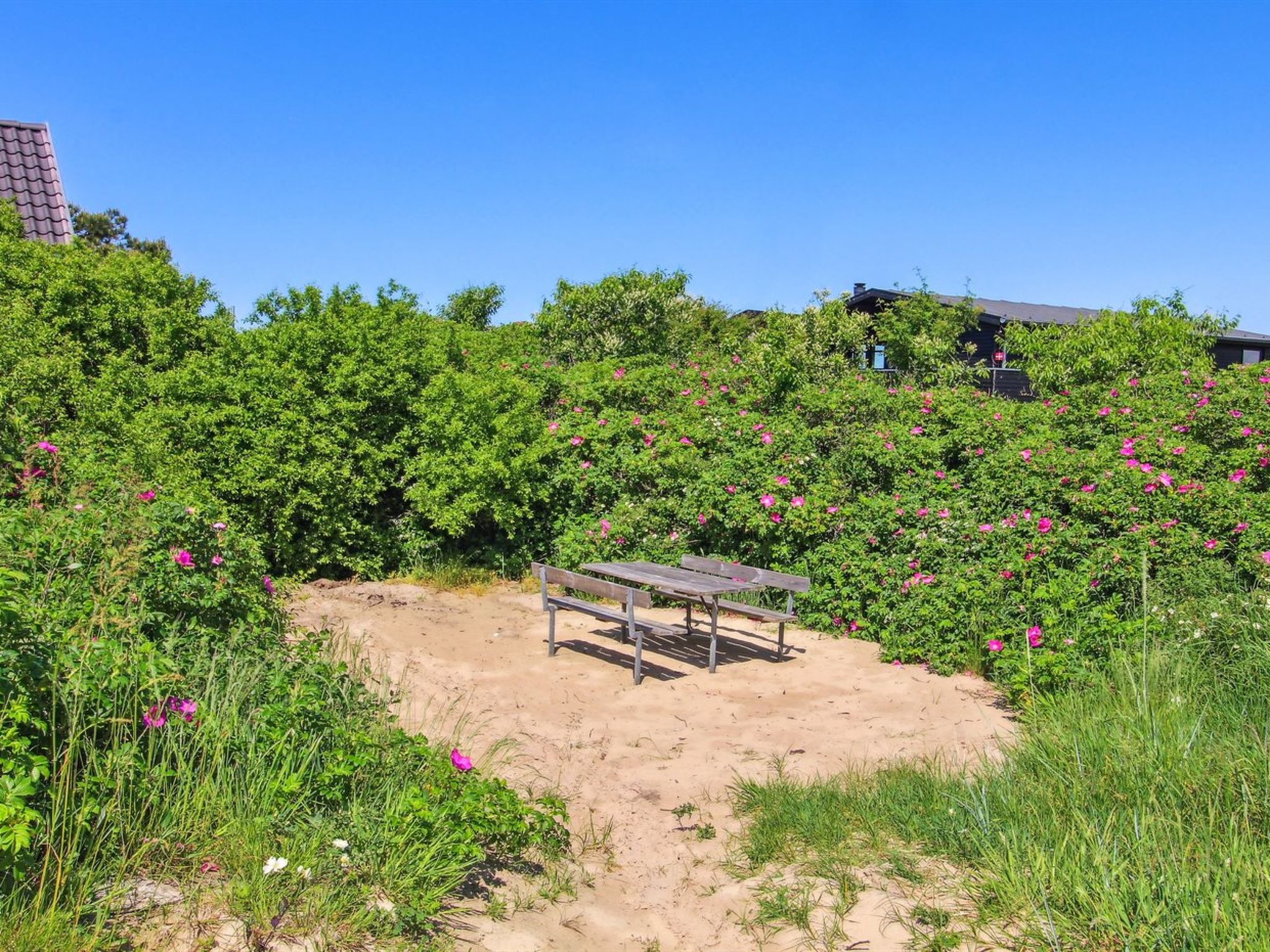 "Kalf" - 400m from the sea - Buiten