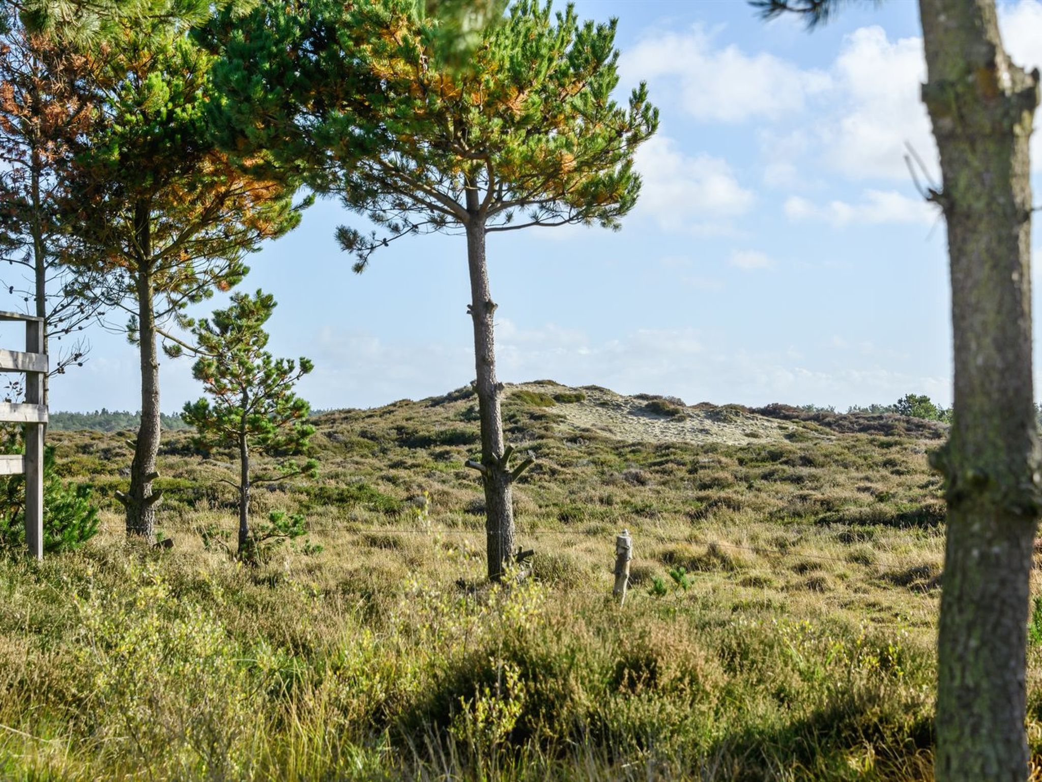 "Trana" - 2km from the sea - Buiten
