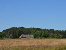 Vrijstaand vakantiehuis Naili met sauna op 3 km van het strand van Rømø - thumbnail 6