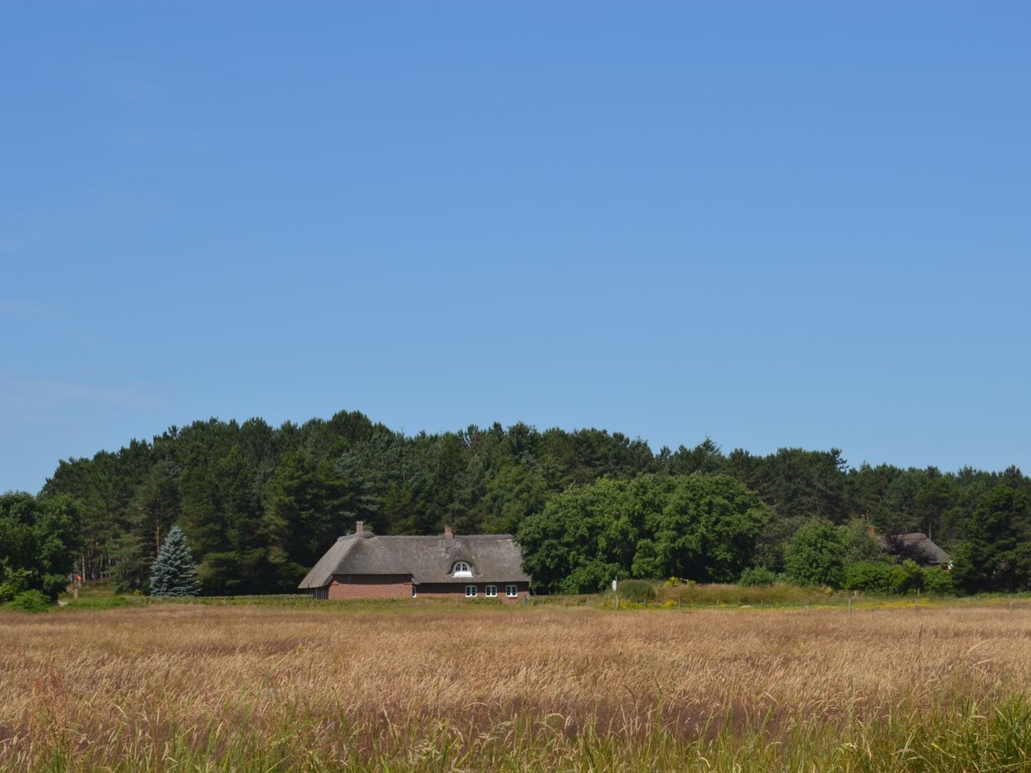 "Naili" - 3.1km from the sea