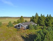 Vrijstaande vakantiewoning met sauna op 3.9 km van de zee op Rømø - thumbnail 1