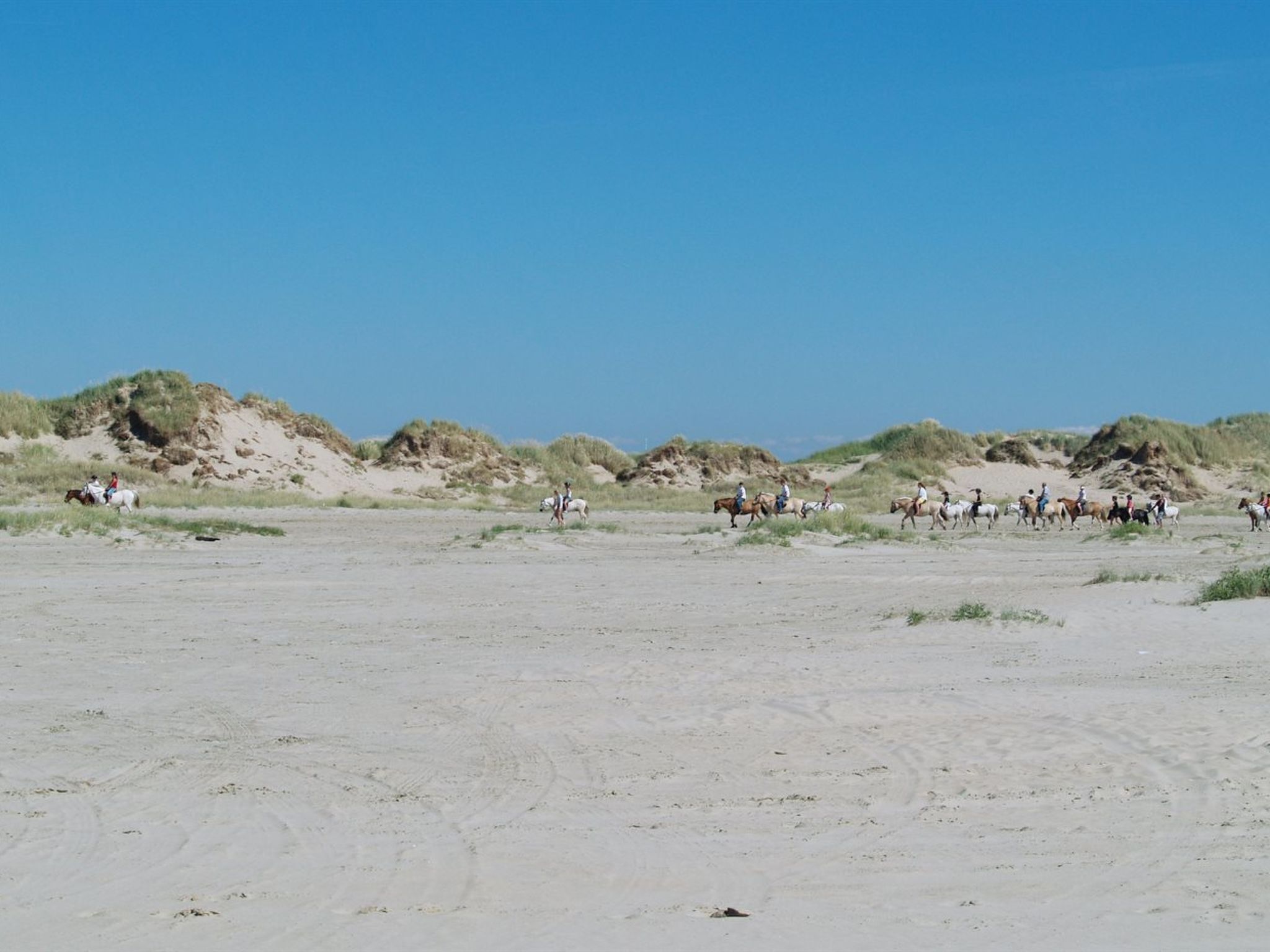 "Sigrun" - 4km from the sea
