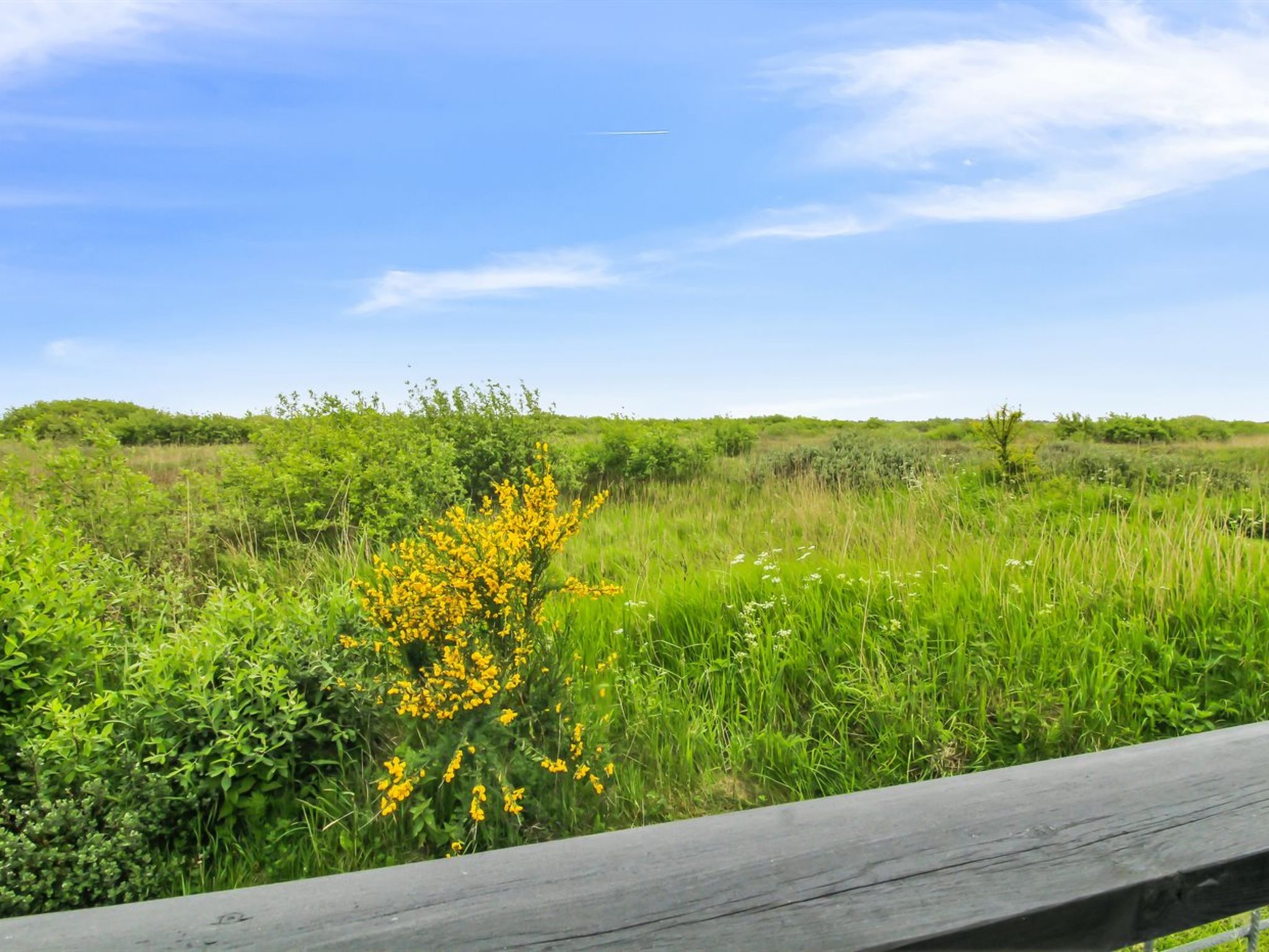 "Kylli" - 600m from the sea - Outside