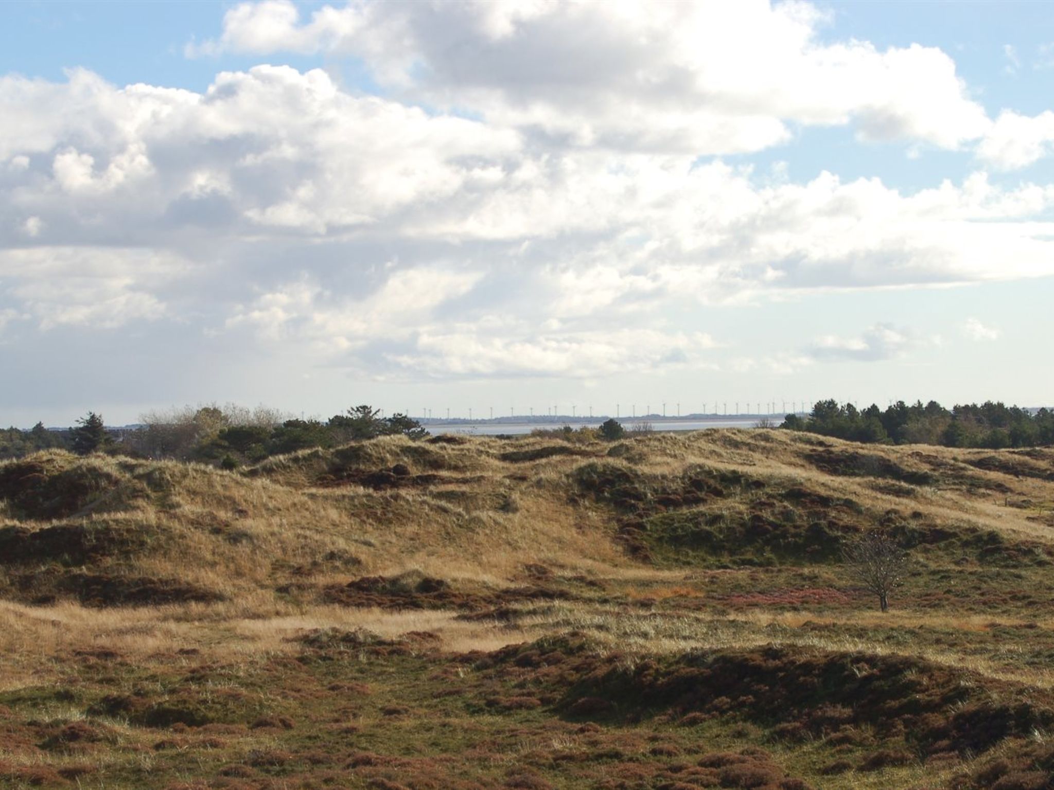 "Inga" - 1.3km from the sea - Buiten