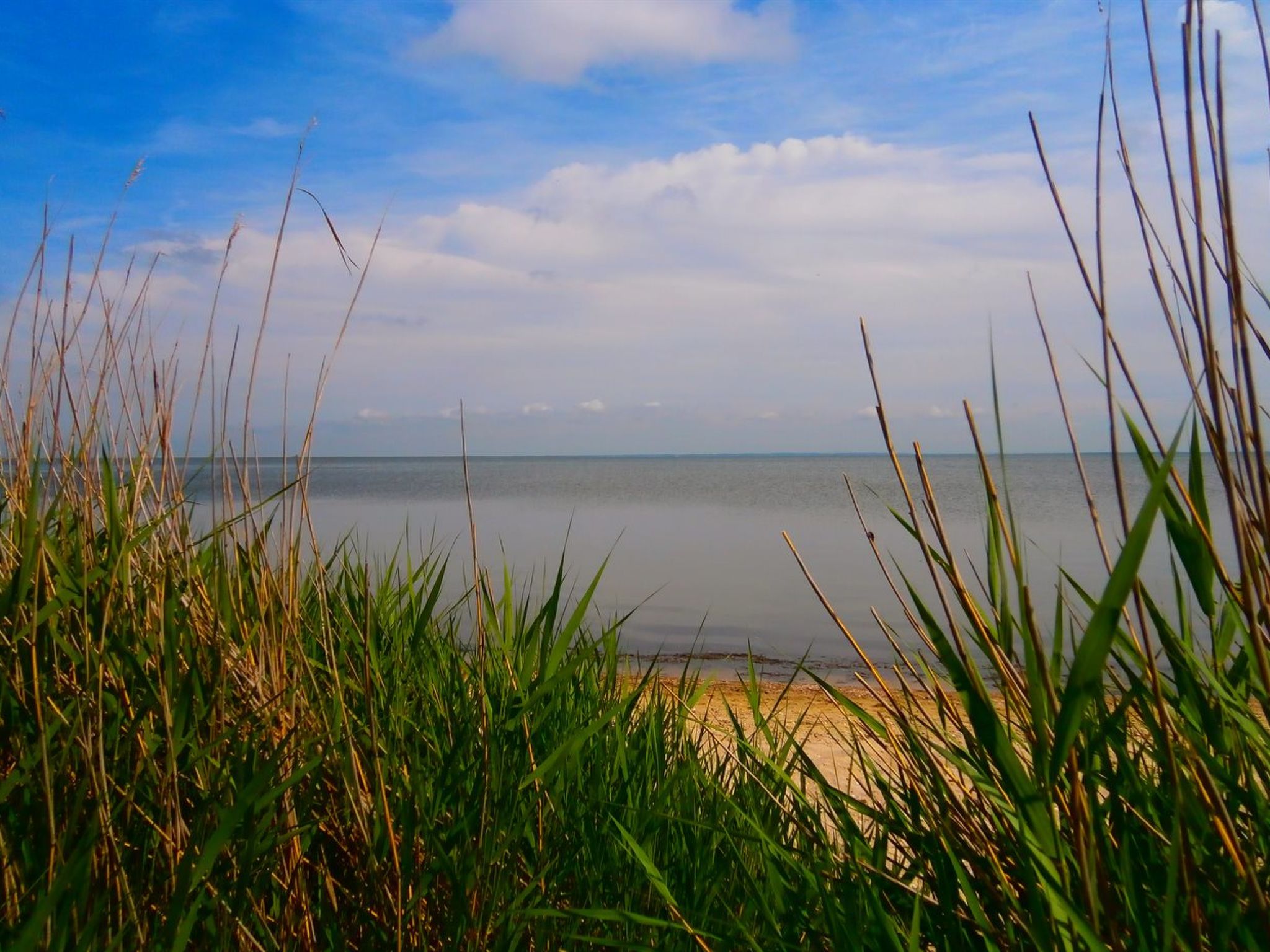 "Vivan" - 3.8km from the sea - Buiten
