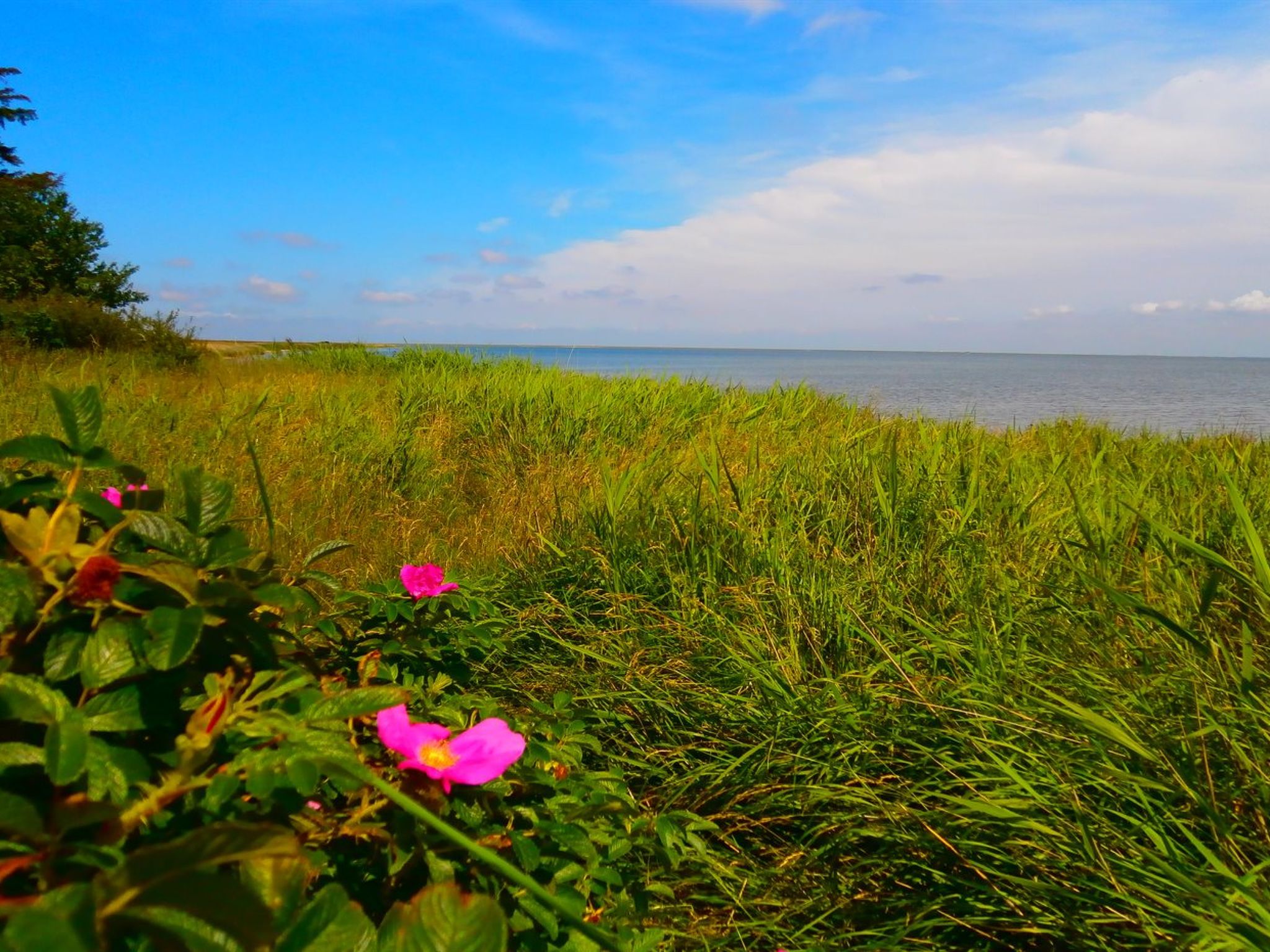 "Vivan" - 3.8km from the sea - Buiten