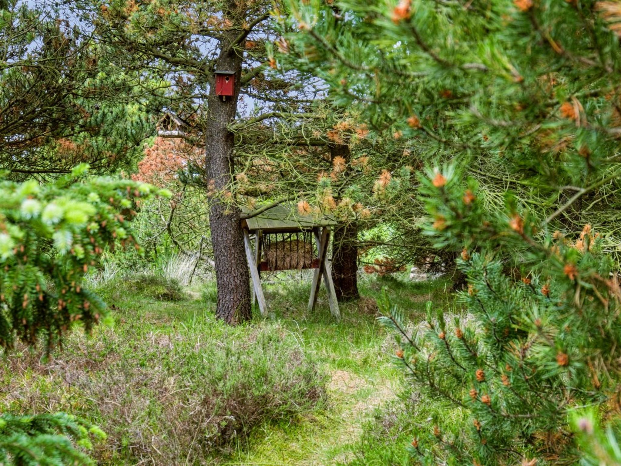 "Bogatin" - 1km from the sea - Draußen