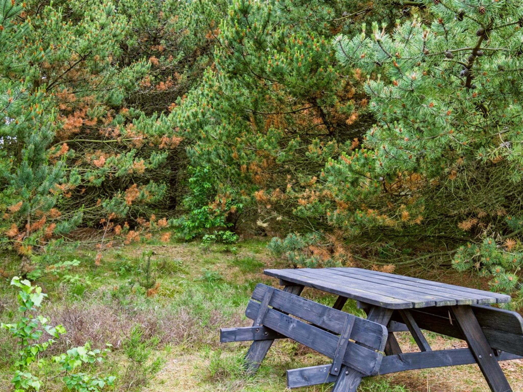 "Bogatin" - 1km from the sea - Draußen