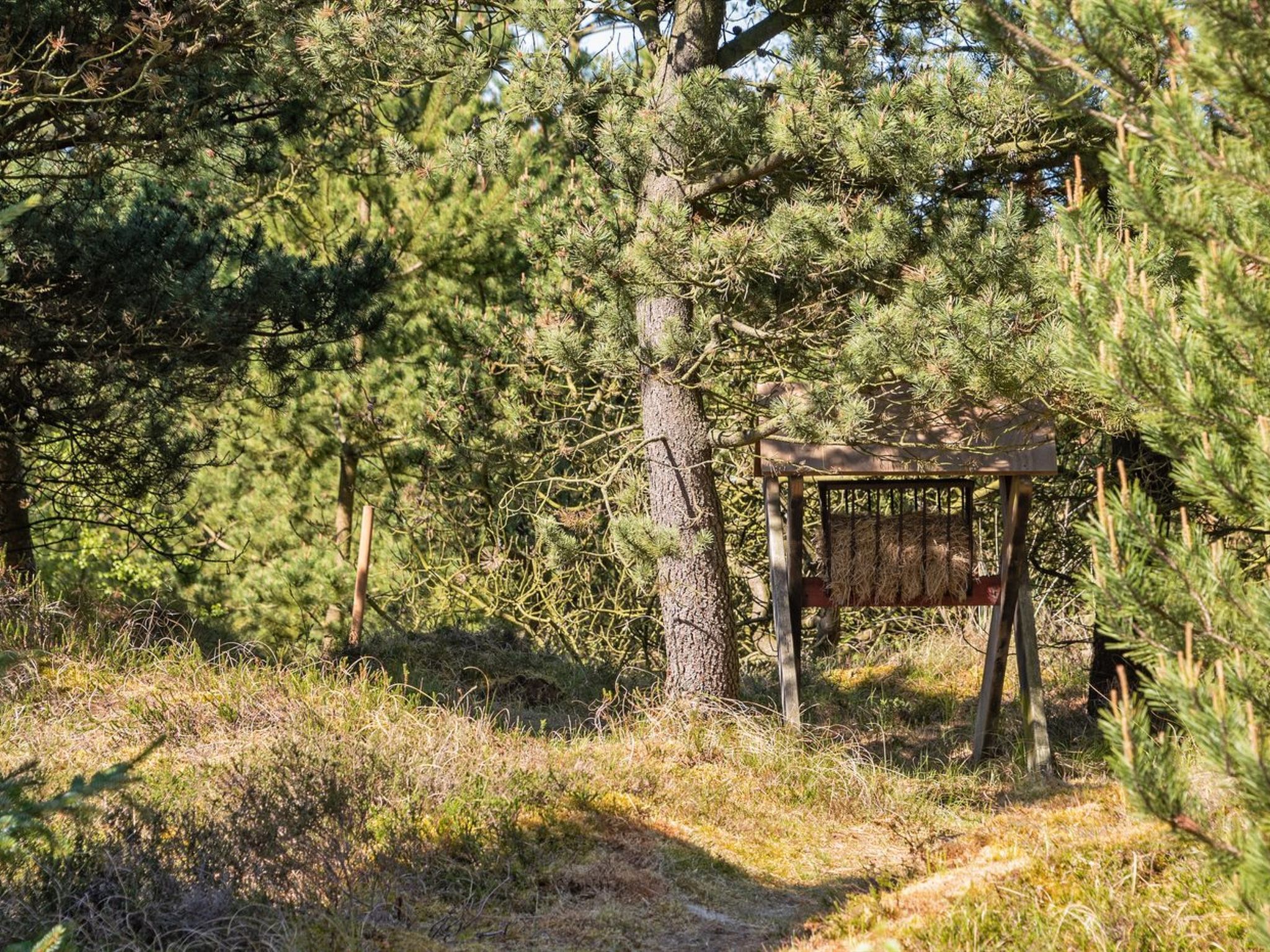 "Bogatin" - 1km from the sea - Draußen