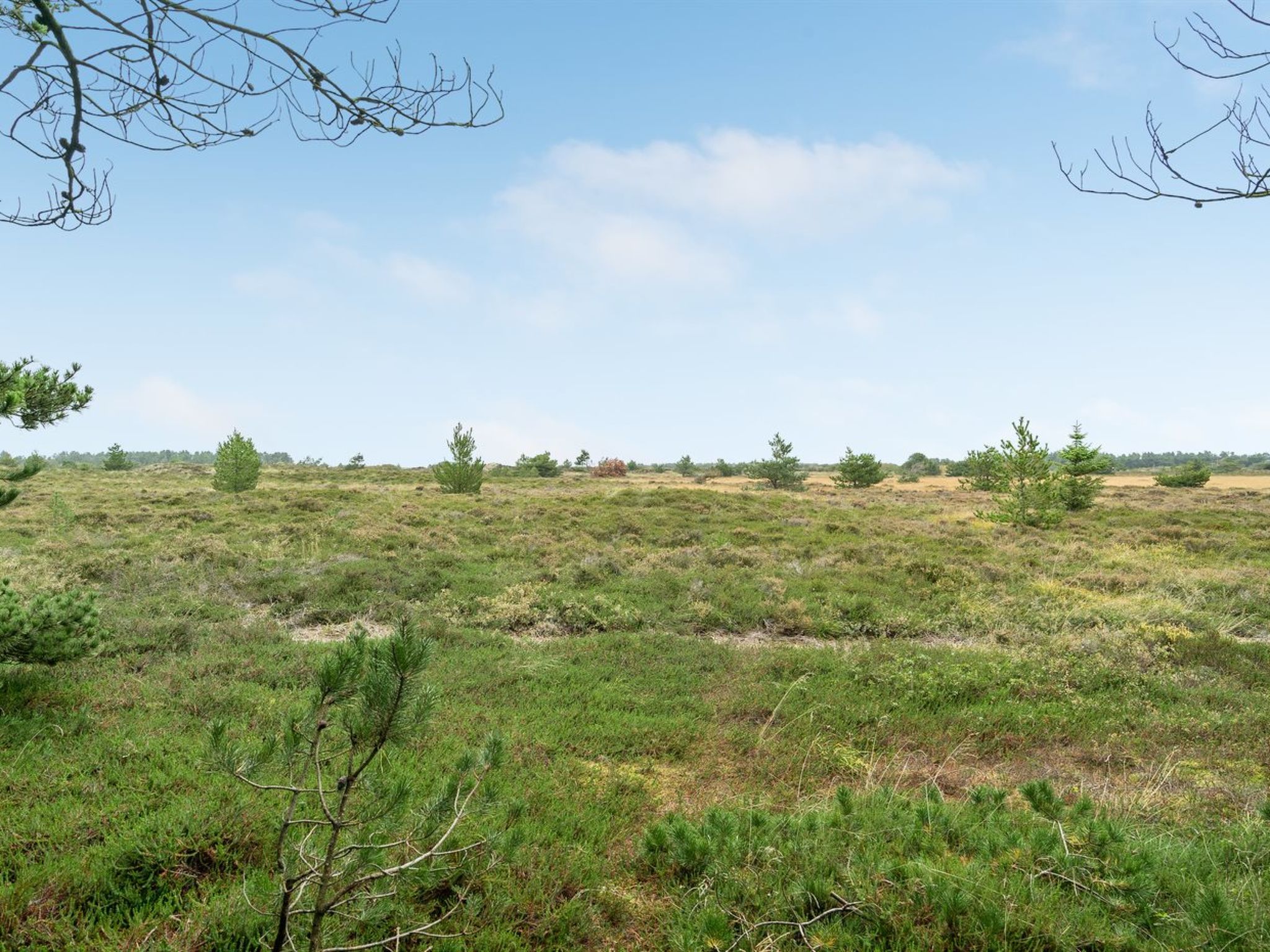 "Nandolf" - 3.5km from the sea - Buiten