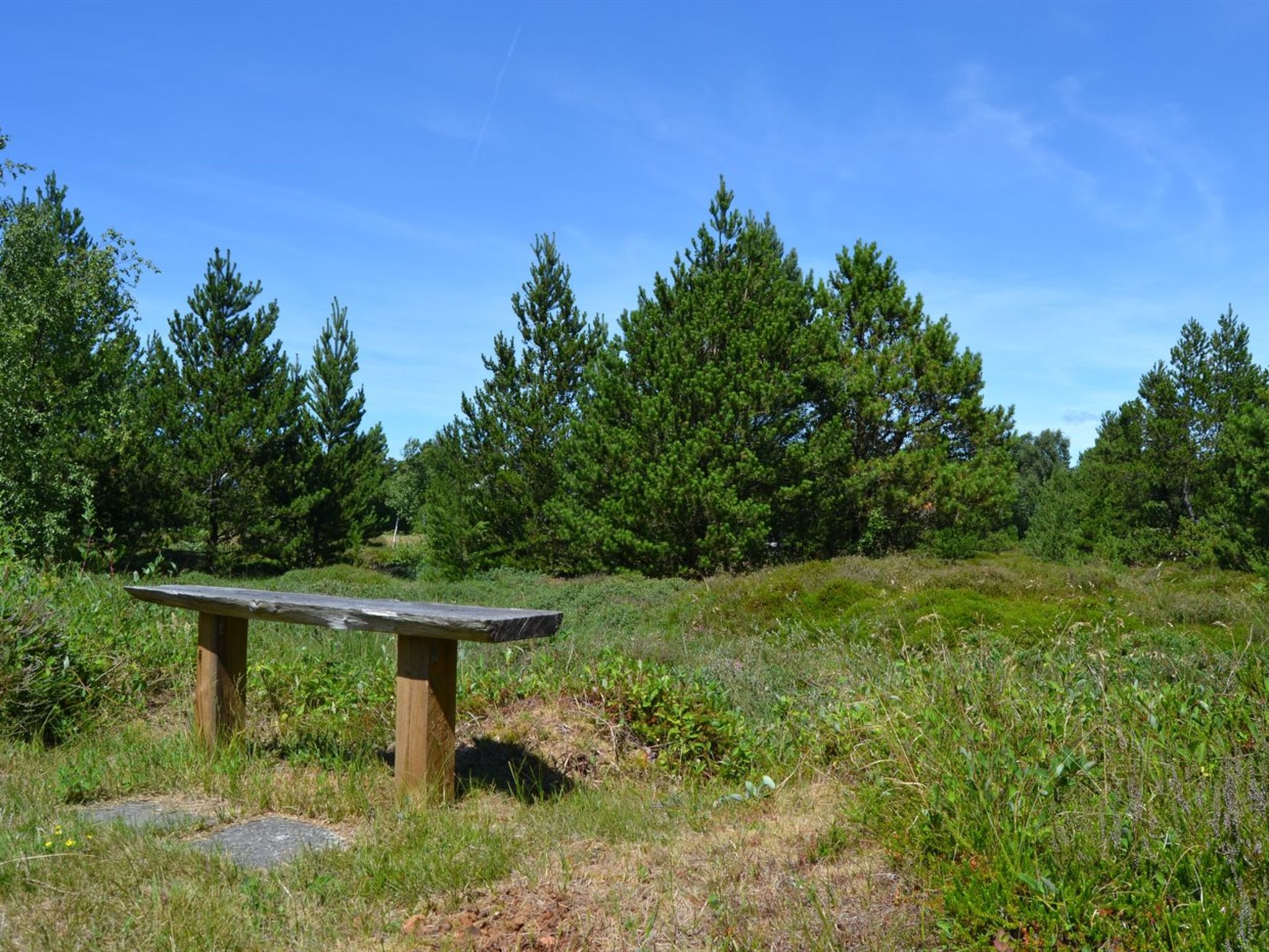 "Redward" - 1km from the sea