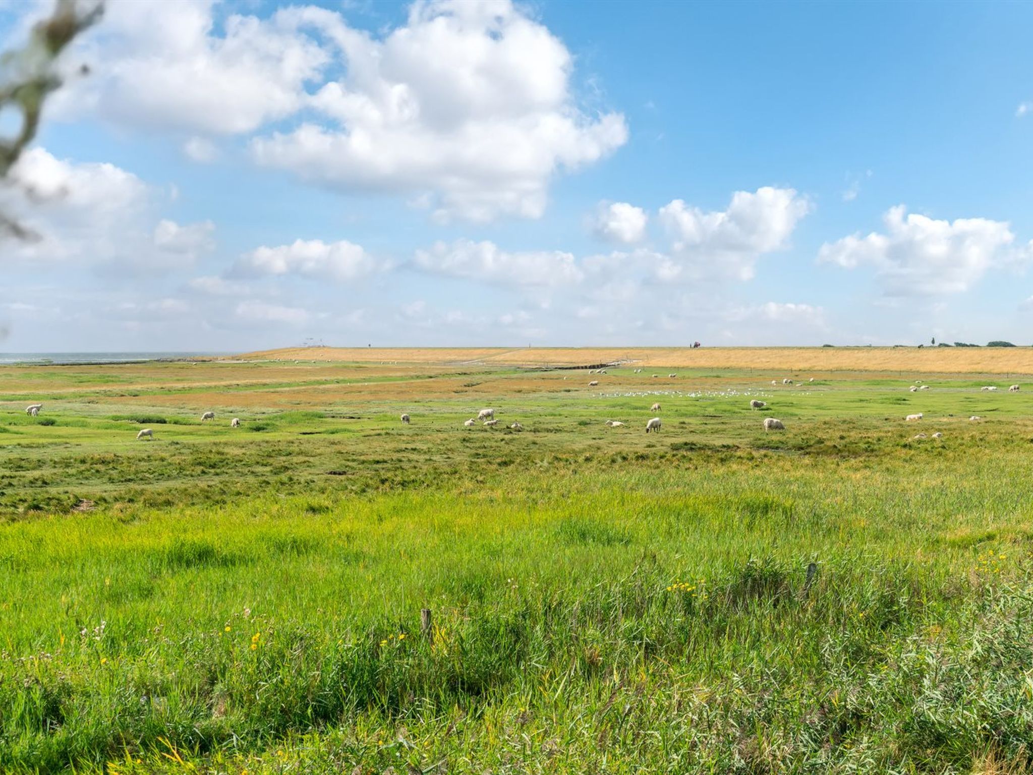 "Langsom" - 100m from the sea - Dehors
