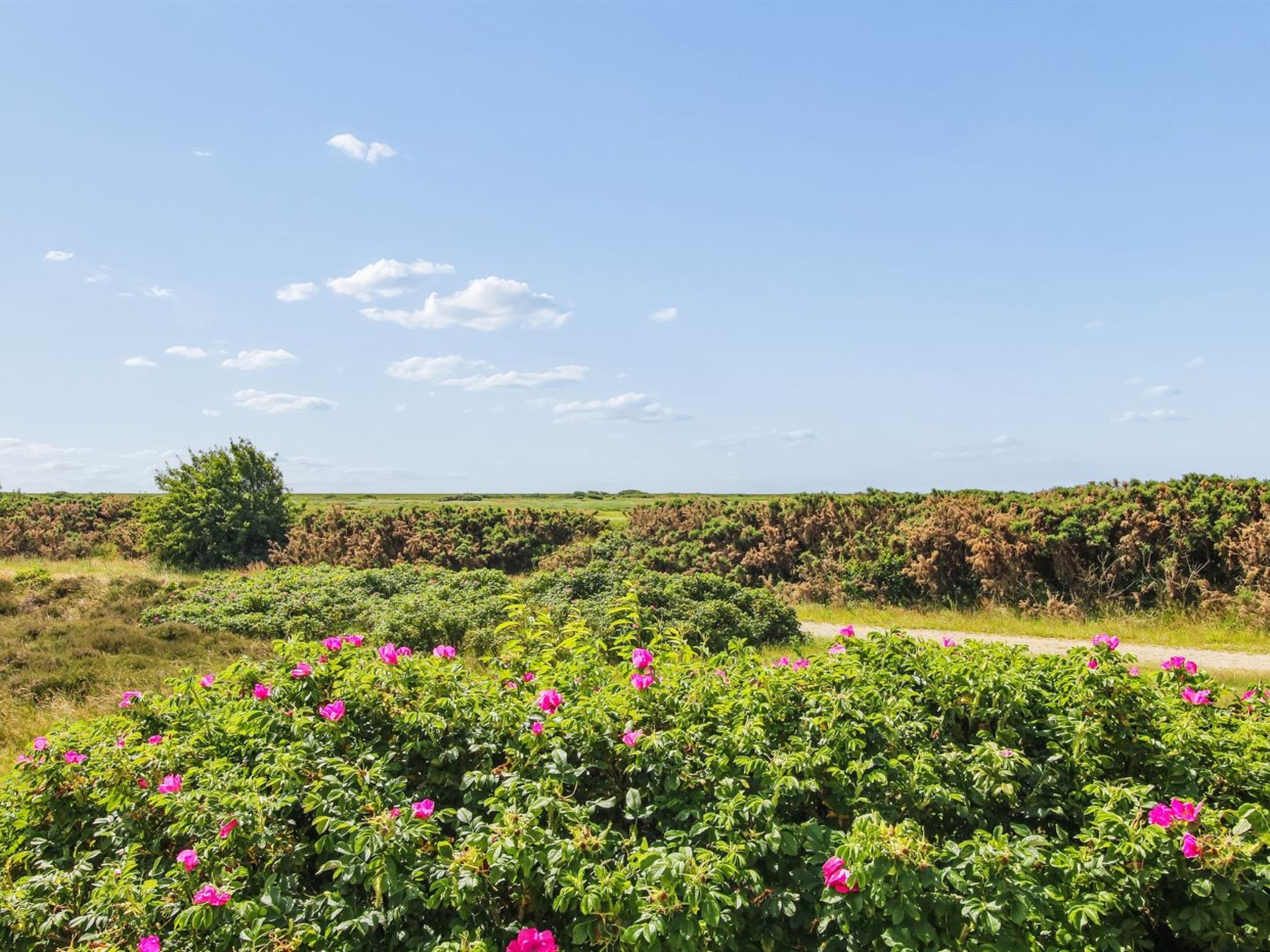 "Femja" - 2.3km from the sea - Outside