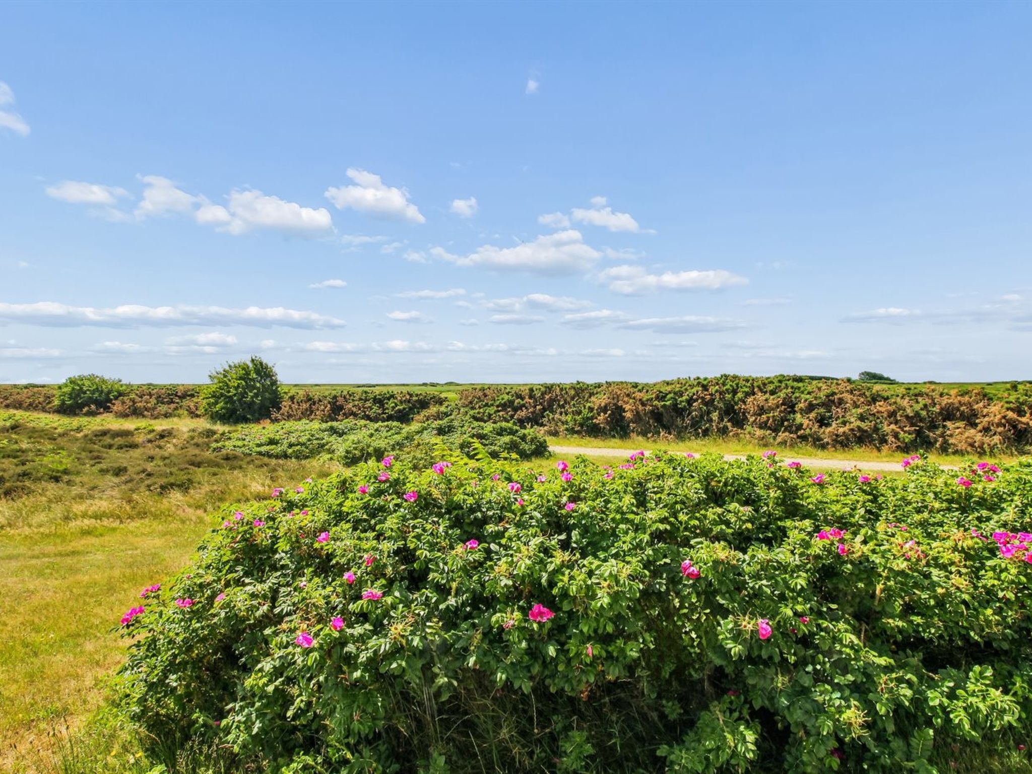 "Femja" - 2.3km from the sea - Outside