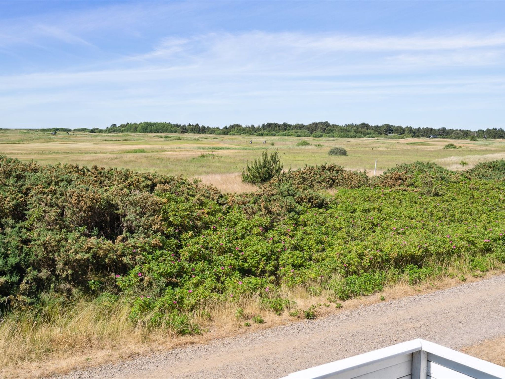 "Aappo" - 2.3km from the sea - Outside