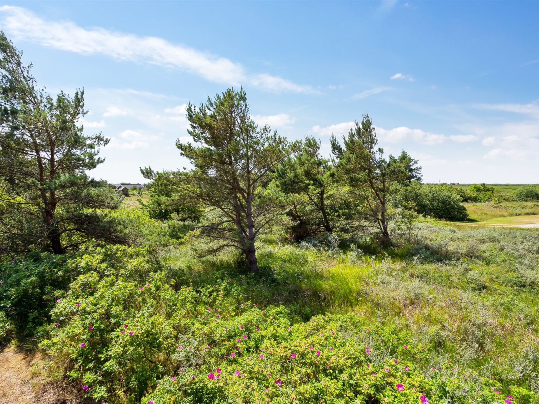 "Athalia" - 2.4km from the sea - Buiten