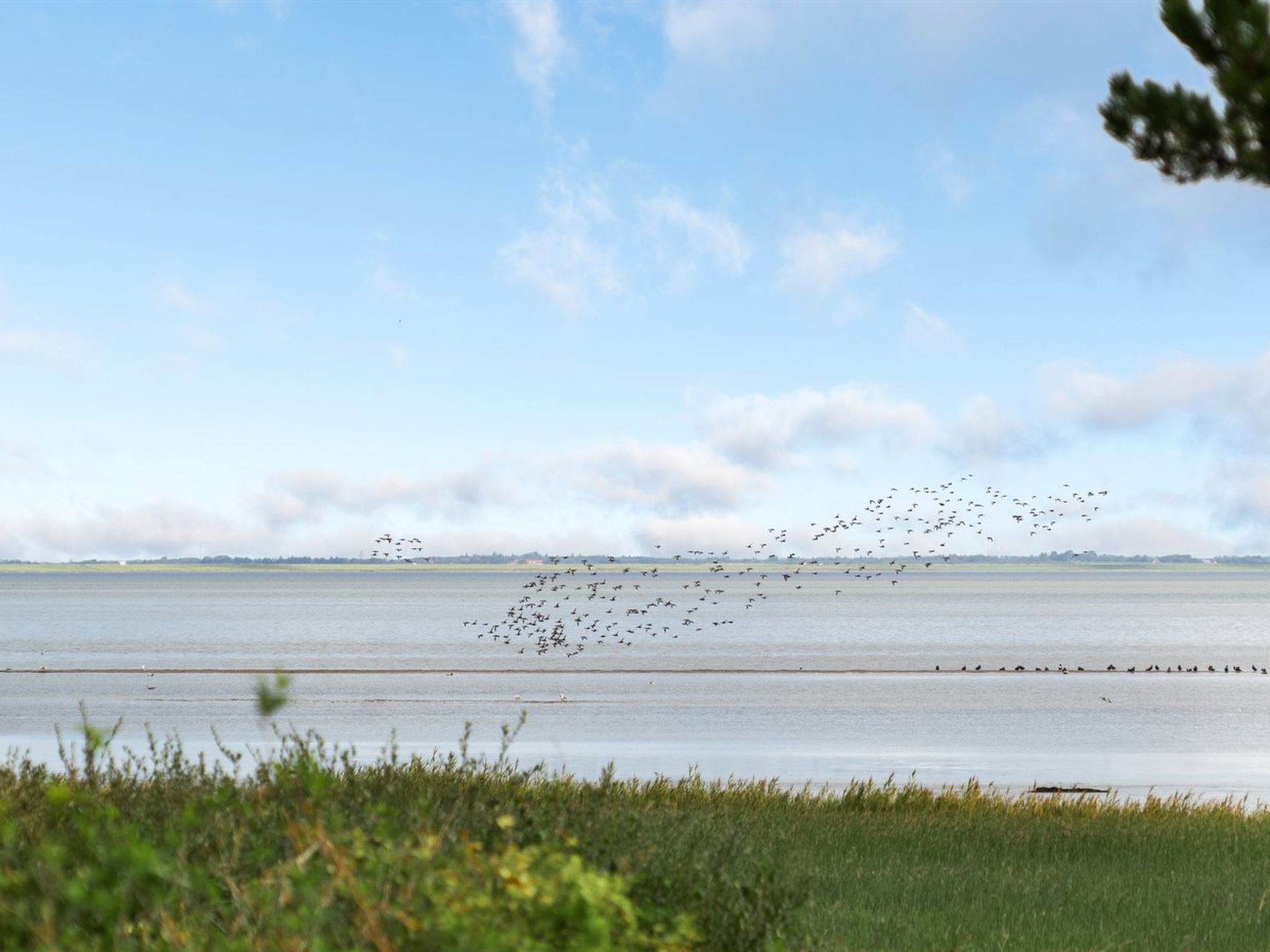"Toralf" - 3.5km from the sea - Dehors