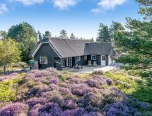 Vrijstaand vakantiehuis Thorulf op 3,5 km van de Rømø stranden - thumbnail 1