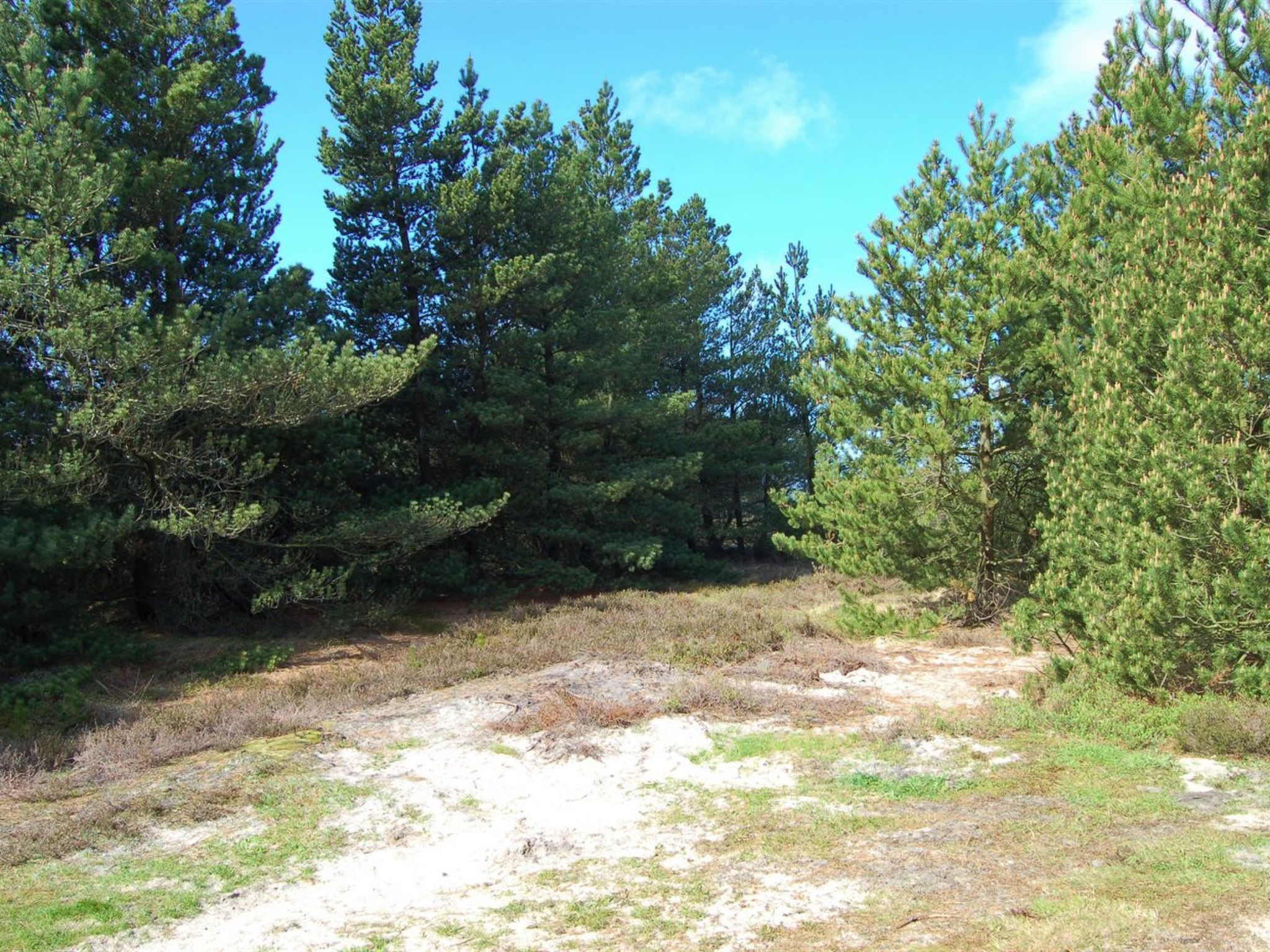 "Volmar" - 3.5km from the sea - Dehors