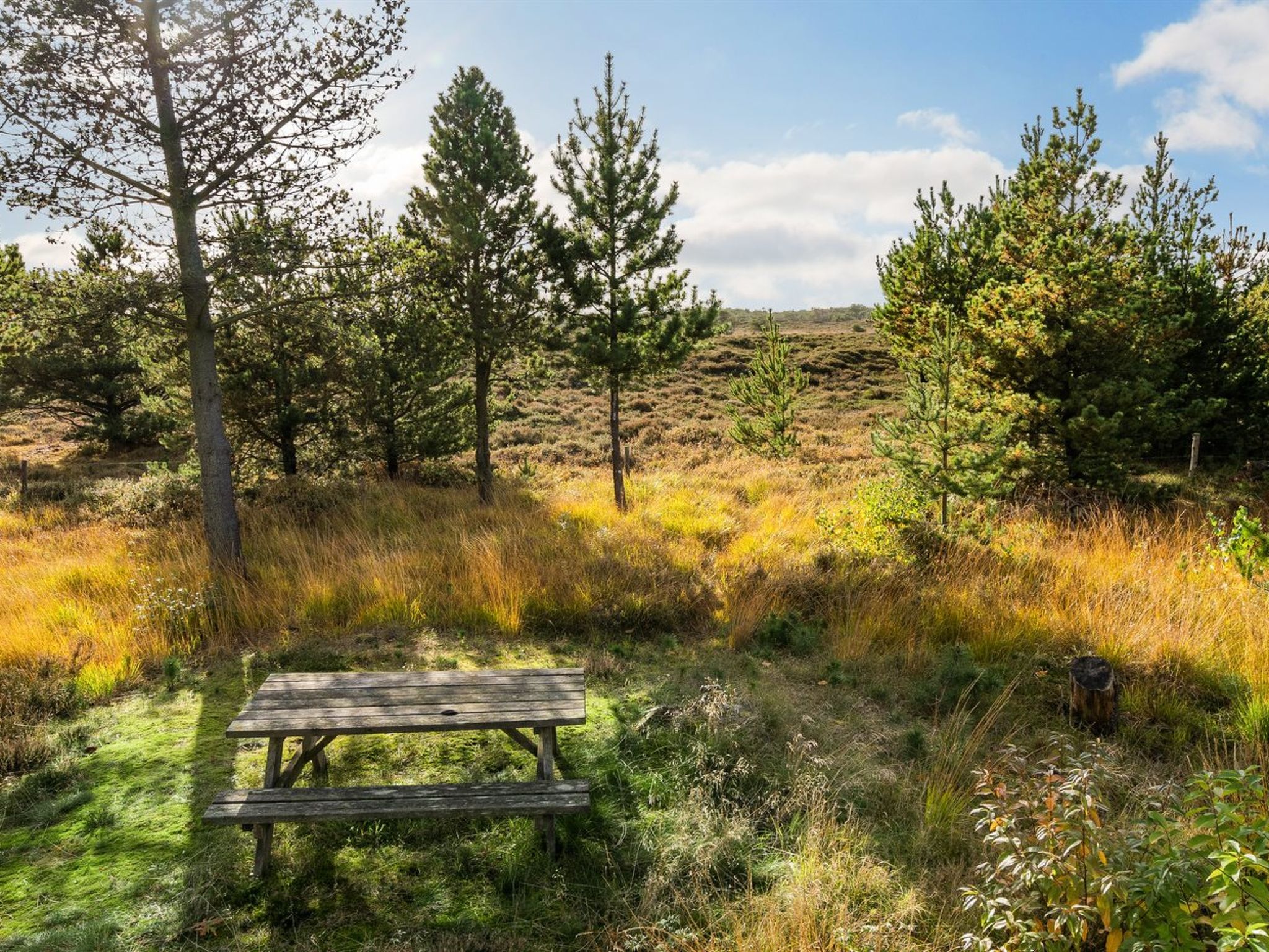 "Ilona" - 2km from the sea - Outside