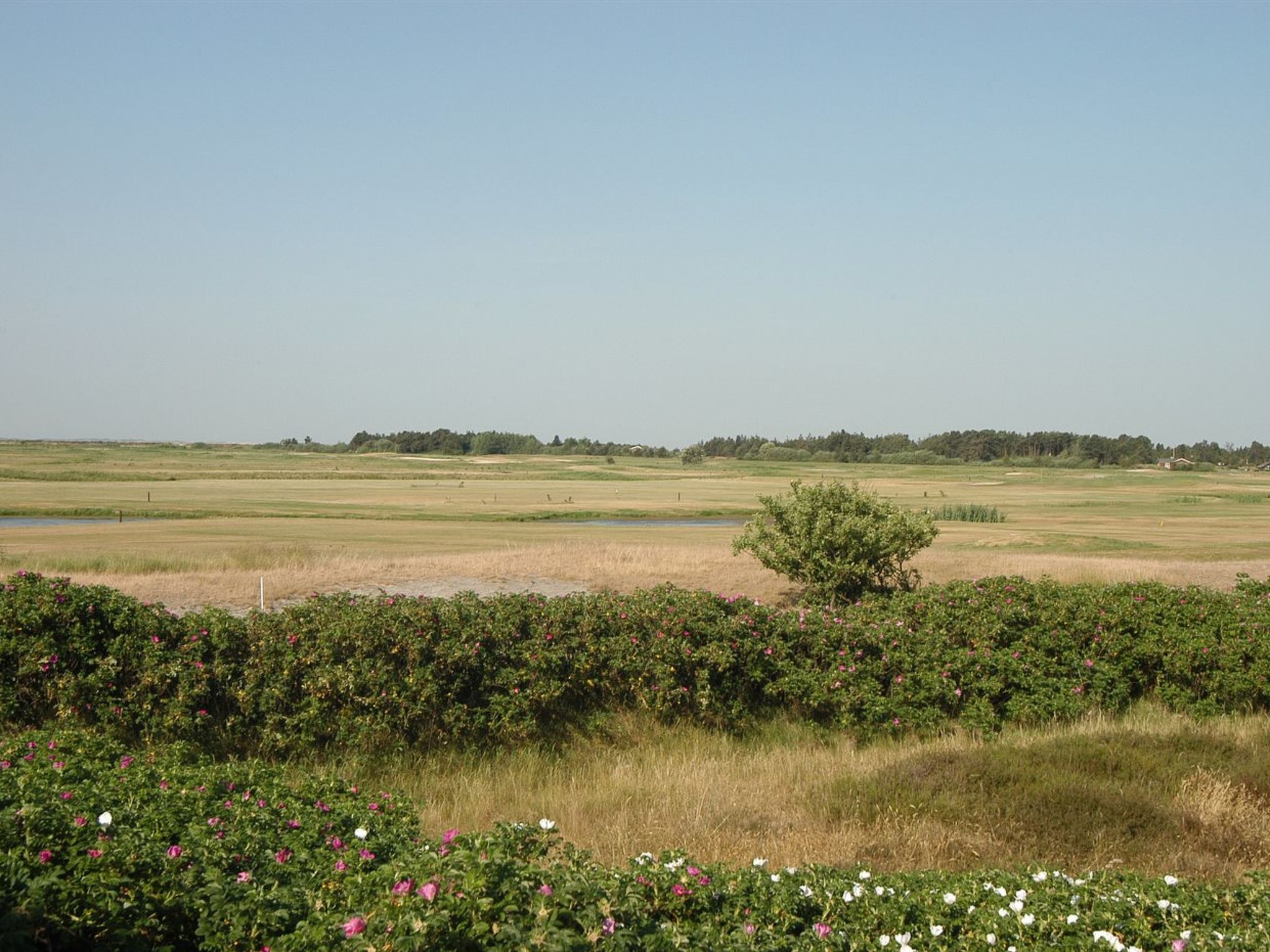 "Ennike" - 2.3km from the sea - Outside