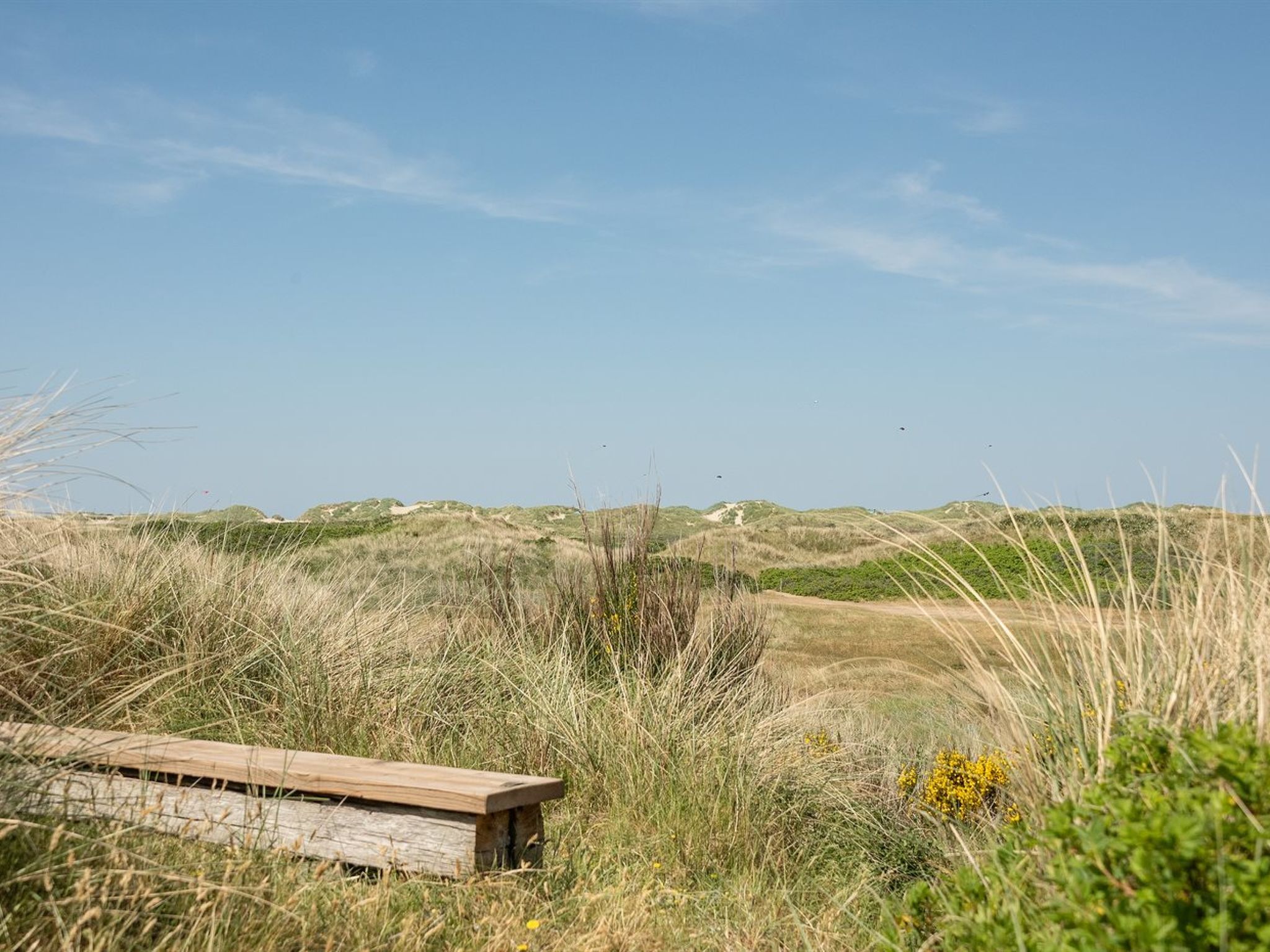 "Nyssa" - 350m from the sea - Buiten