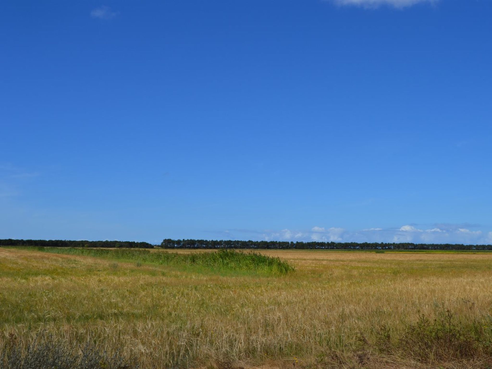 "Anna" - 1km from the sea - Draußen