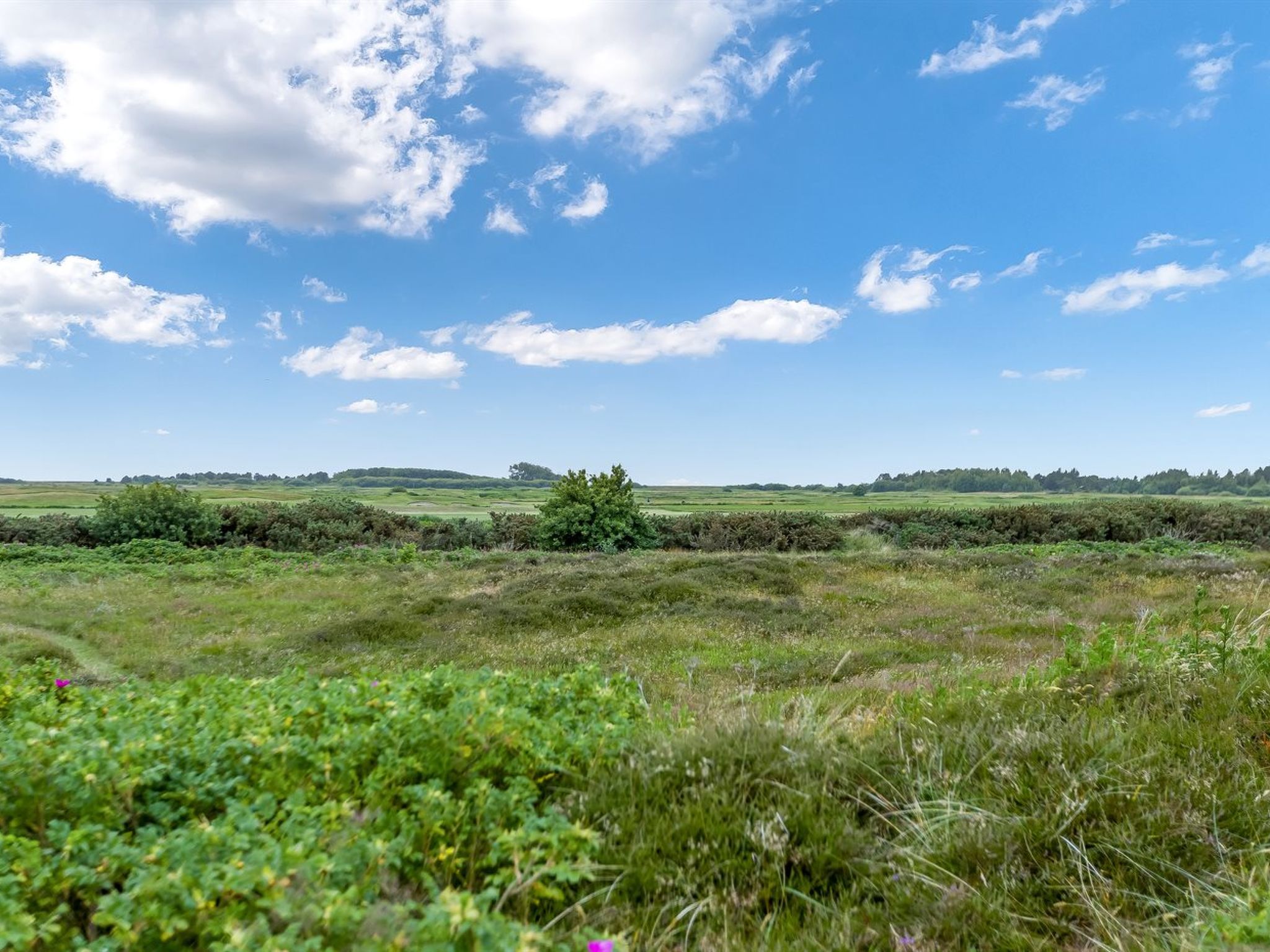 "Reija" - 2.3km from the sea - Outside
