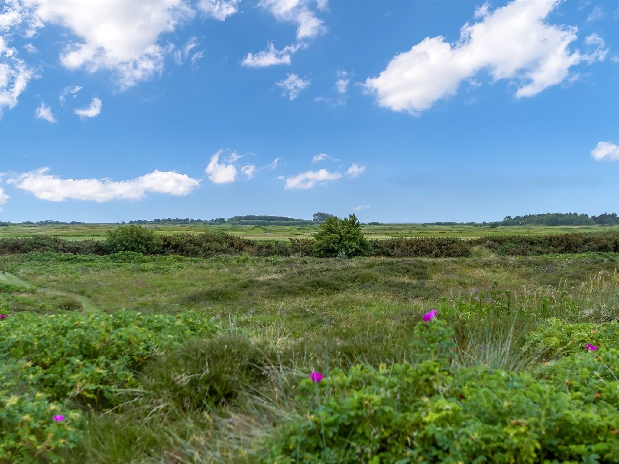 "Reija" - 2.3km from the sea - Outside