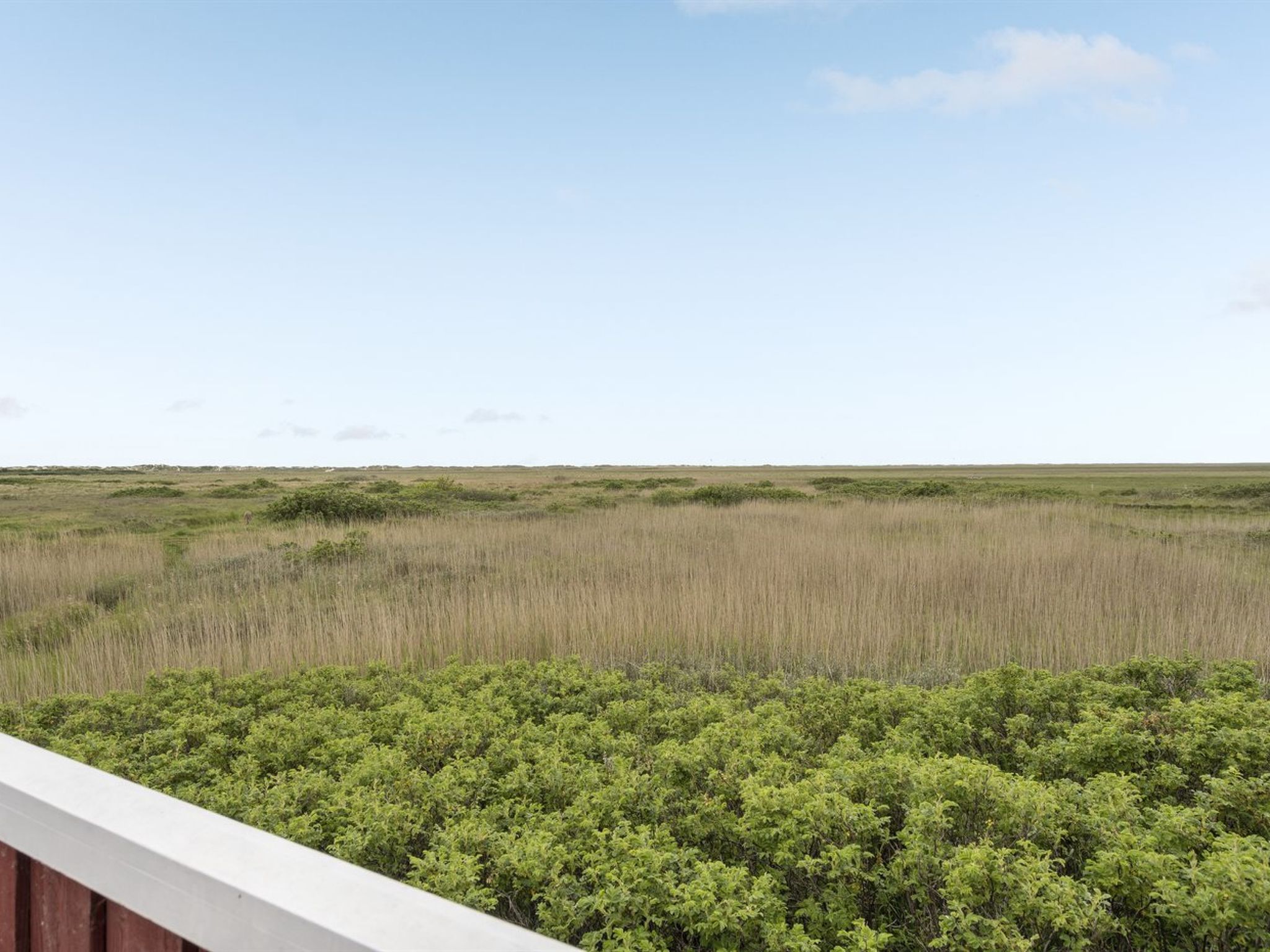 "Sybilla" - 700m from the sea - Buiten