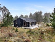 Luxe vakantiehuis Turkka op Rømø – privé, ruim en vlakbij zee - thumbnail 4