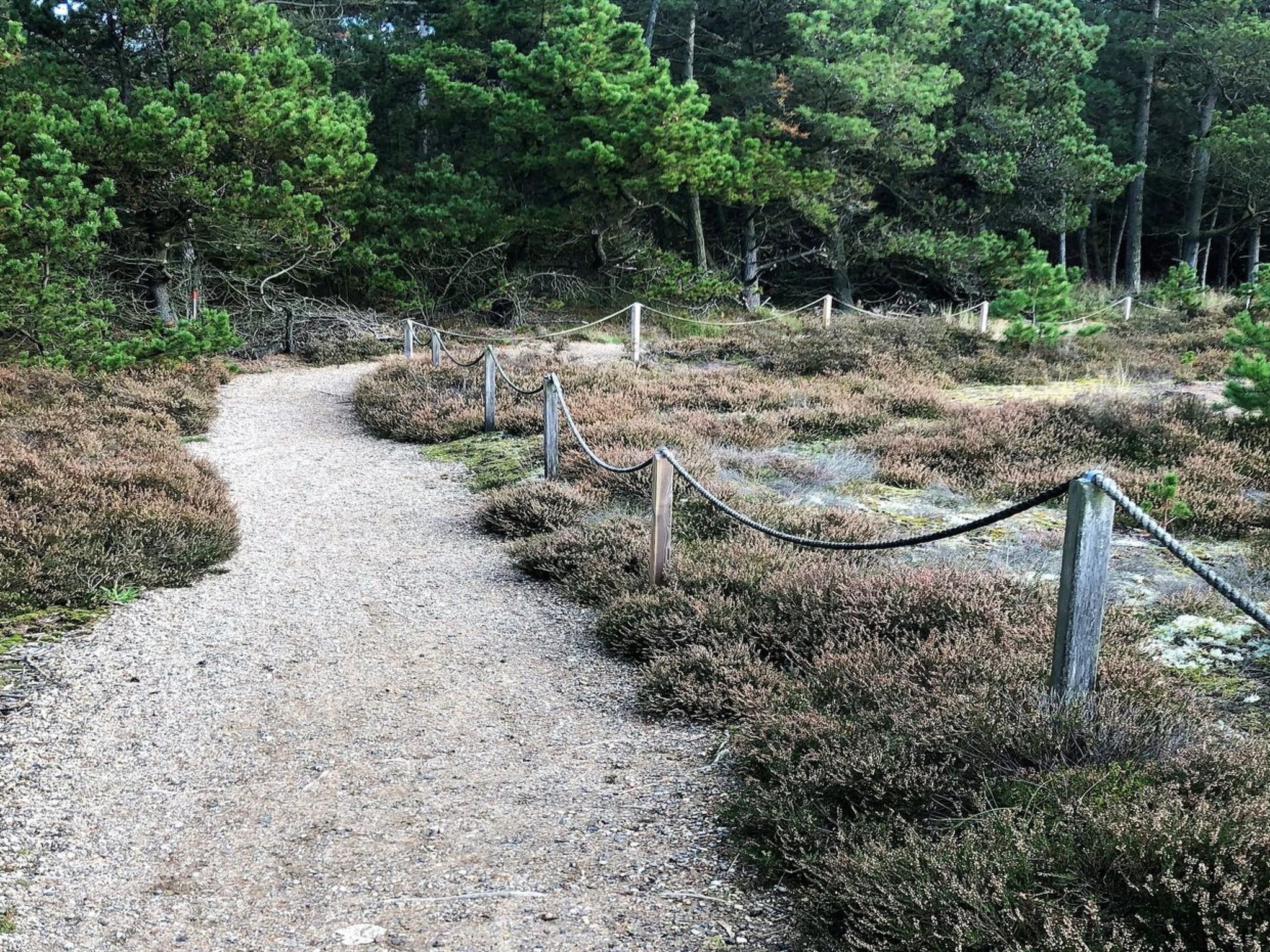 "Turkka" - 3.8km from the sea - Buiten