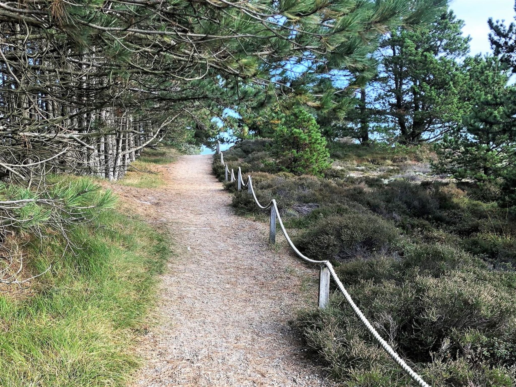 "Turkka" - 3.8km from the sea - Buiten