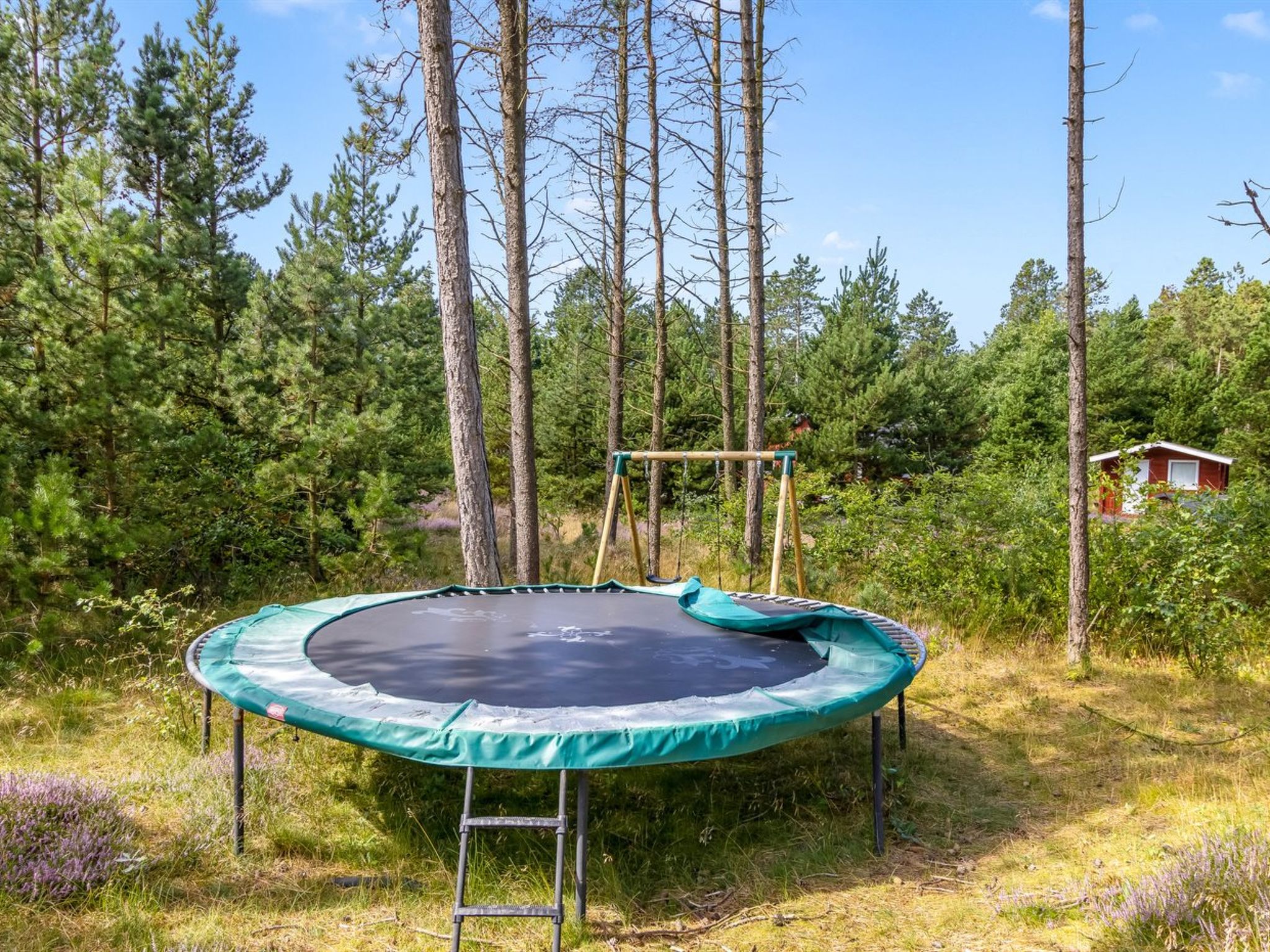 "Santuzza" - 3.9km from the sea - Buiten