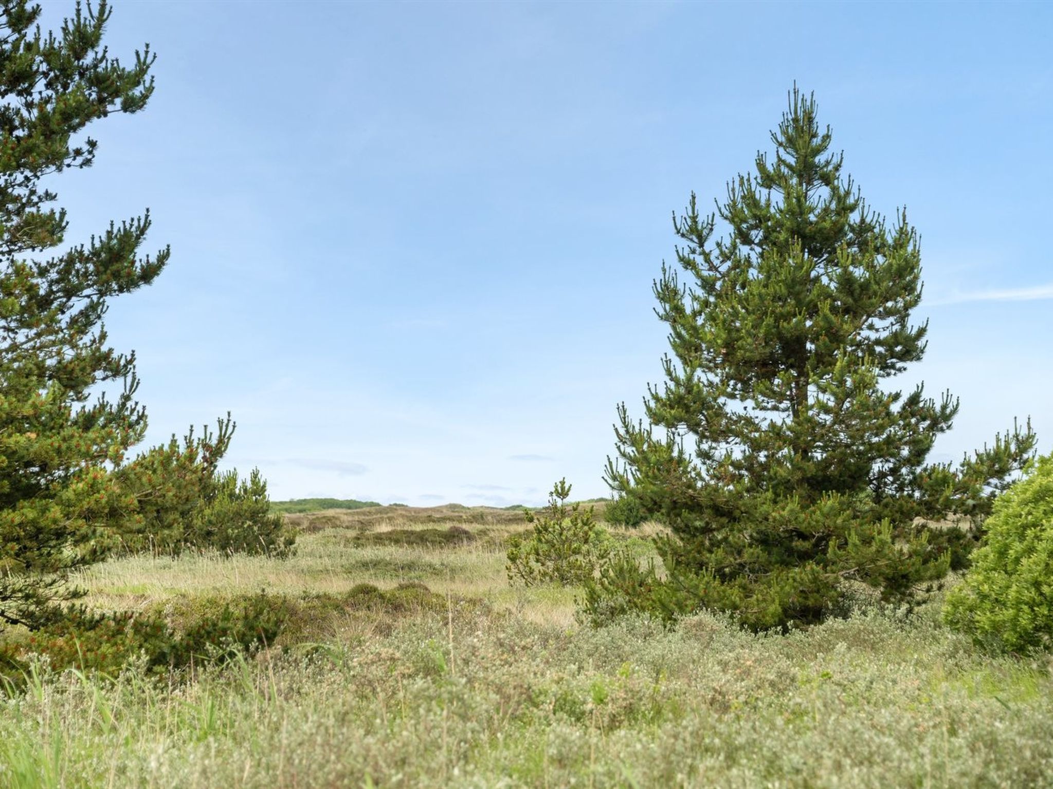 "Doria" - 2km from the sea - Buiten