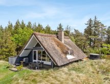 Vrijstaand vakantiehuis Antero op Rømø, 4 km van zee met sauna en whirlpool - thumbnail 4