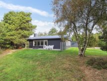 Vrijstaande woning op 3 km van zee met grote tuin en speelplek op Rømø - thumbnail 1