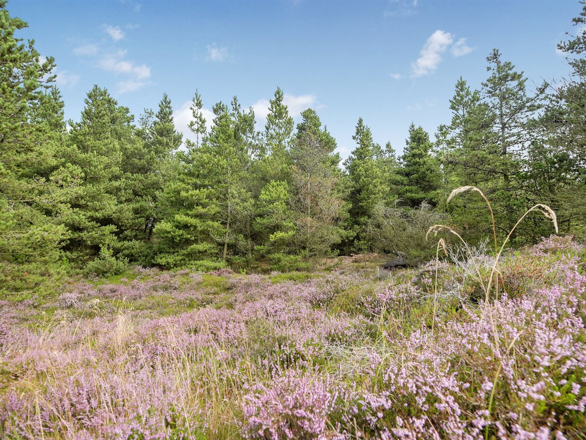 "Keke" - 2.5km from the sea - Buiten
