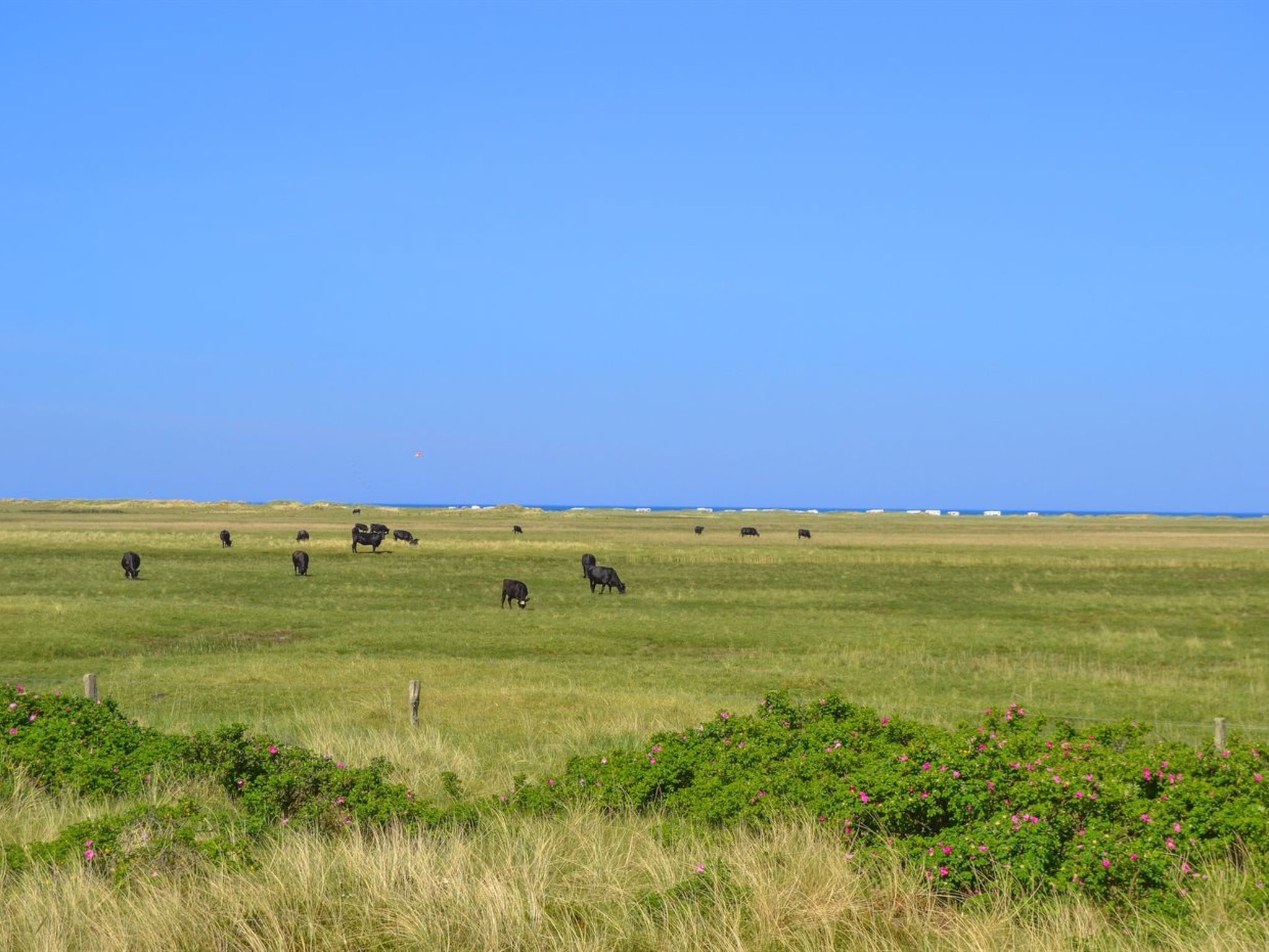 "Lennart" - 750m from the sea-Buiten