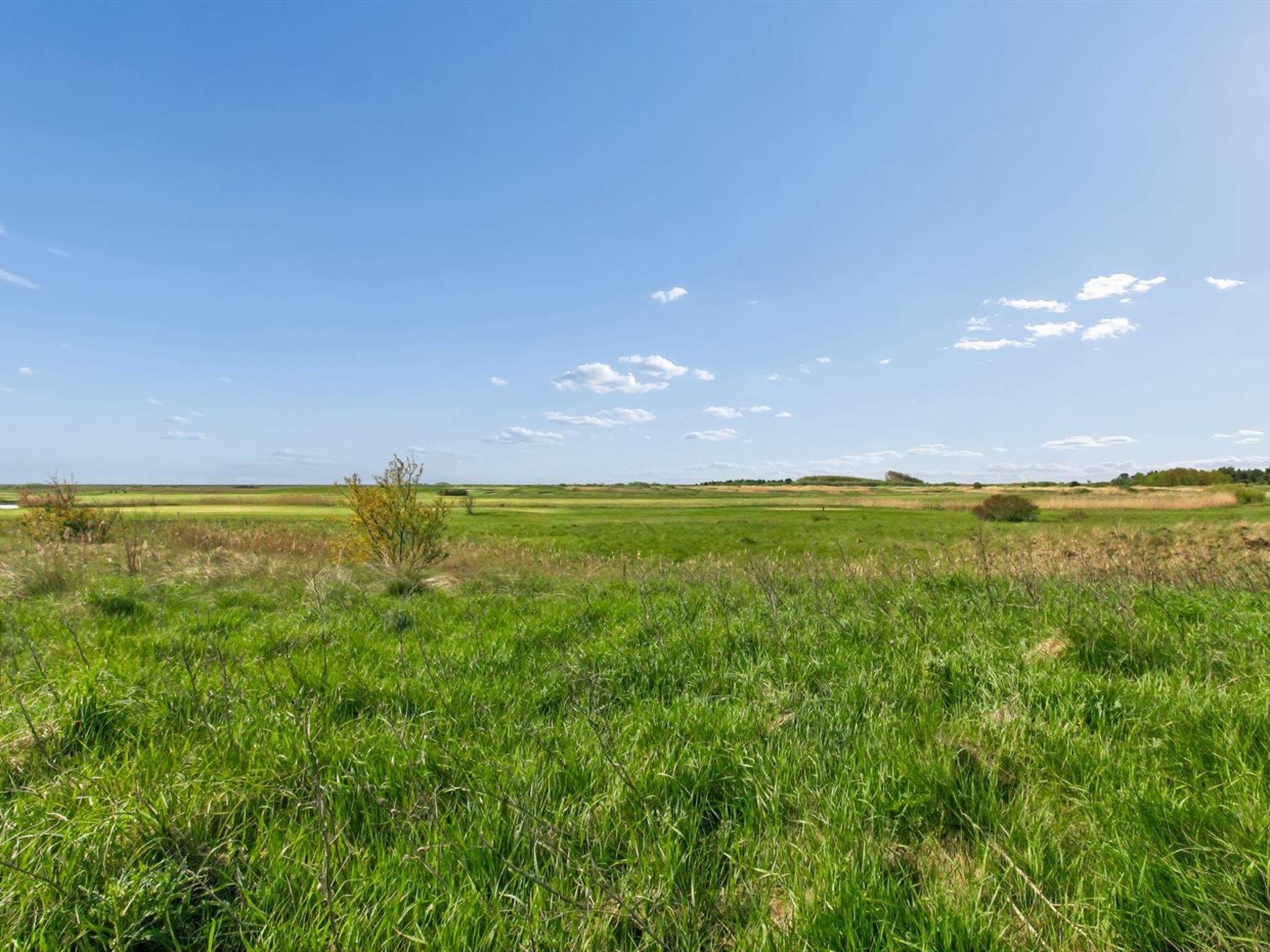 "Maarit" - 2.3km from the sea - Outside